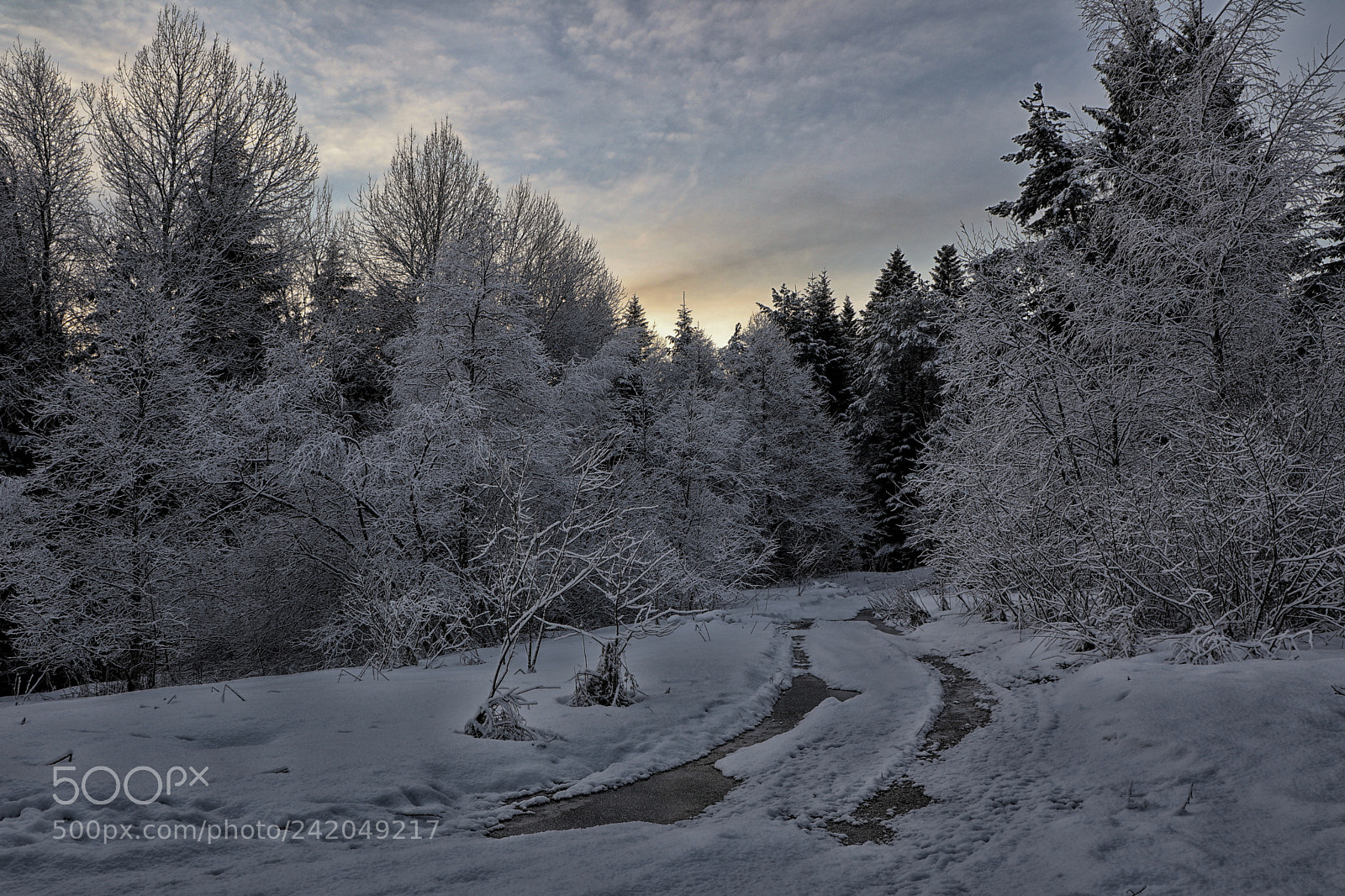 Canon EOS M5 sample photo. Bieszczady photography