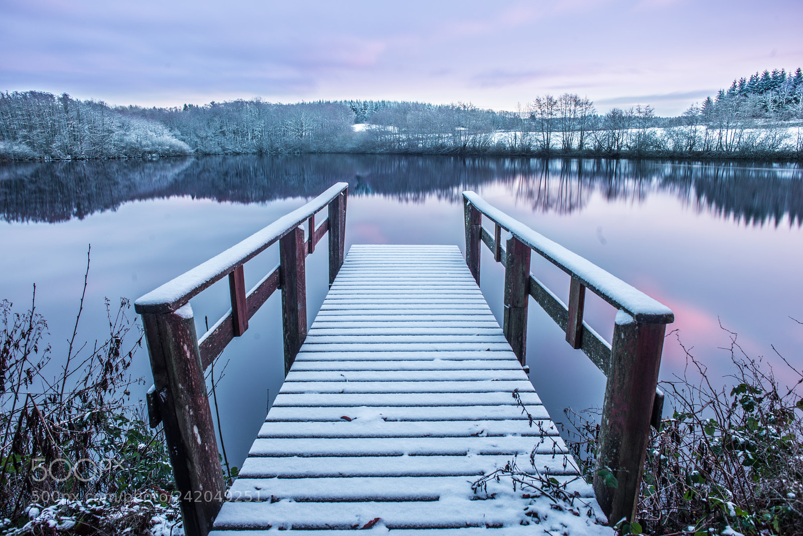Nikon D800 sample photo. Winter is coming photography