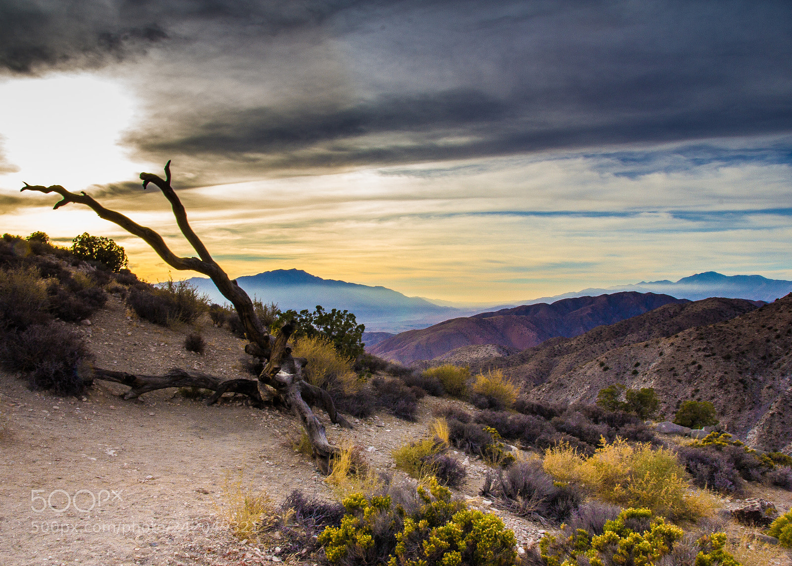 Canon EOS 60D sample photo. Sunset in joshua tree photography