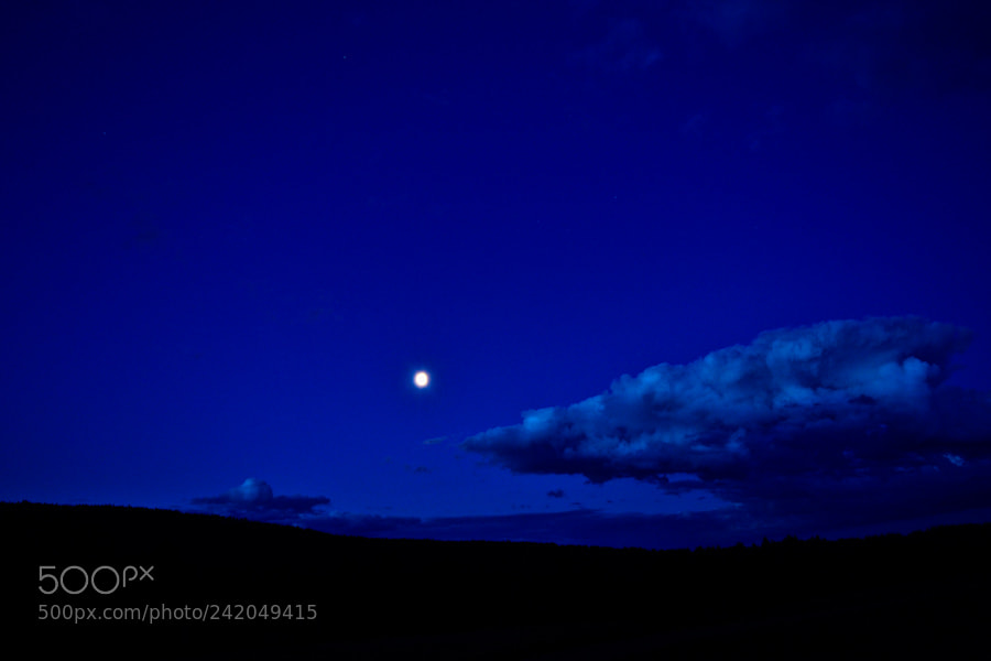 Nikon D3100 sample photo. Nordica luna photography