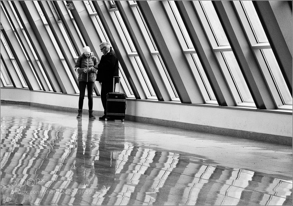 Sony Alpha a3000 sample photo. Black & white patterns photography