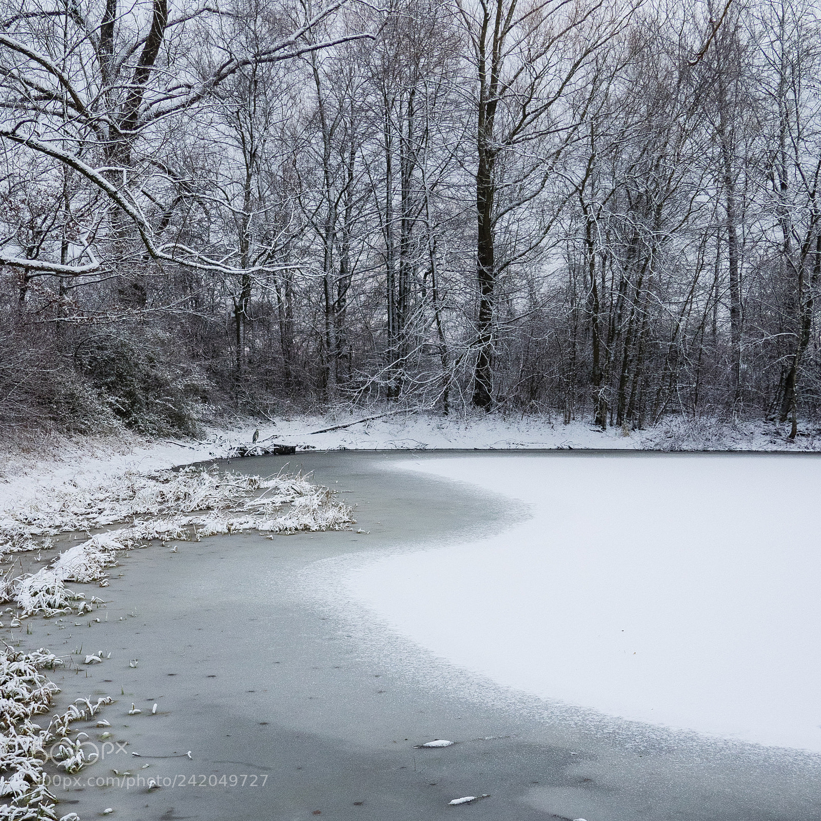 Olympus OM-D E-M1 sample photo. Waves on a lake 1 photography
