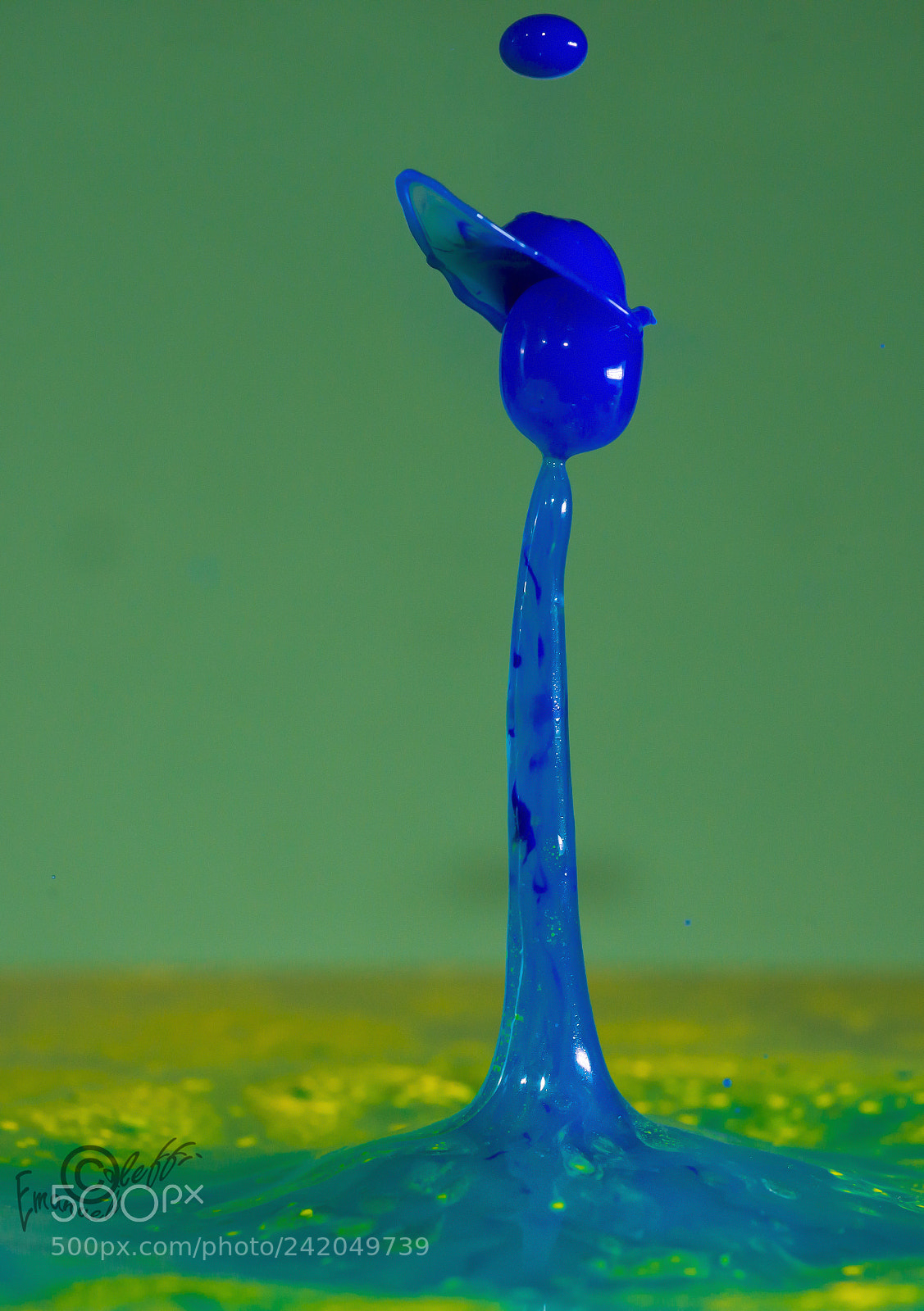 Nikon D800 sample photo. Drop art photography