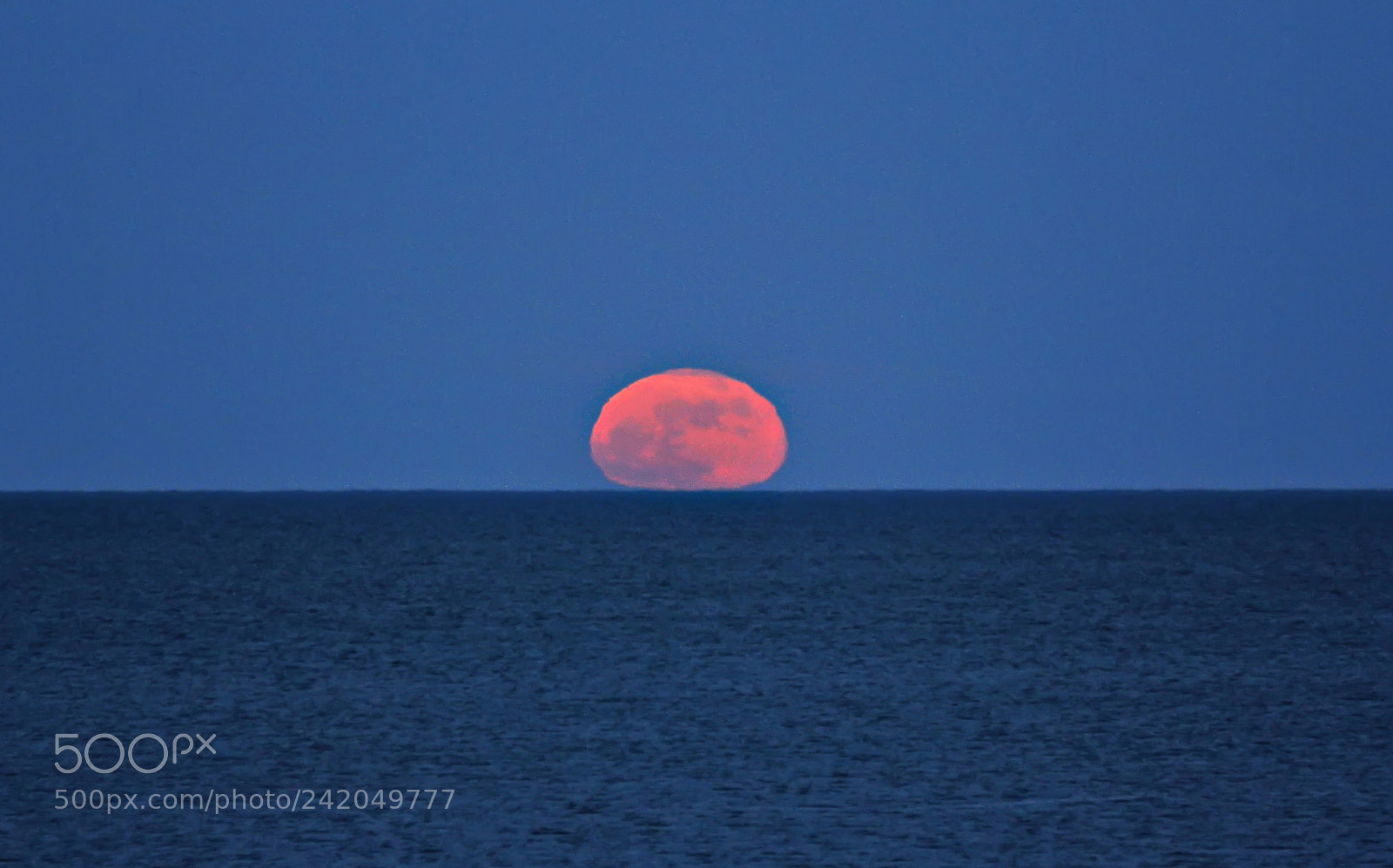 Canon EOS 60D sample photo. Bloodmoon photography