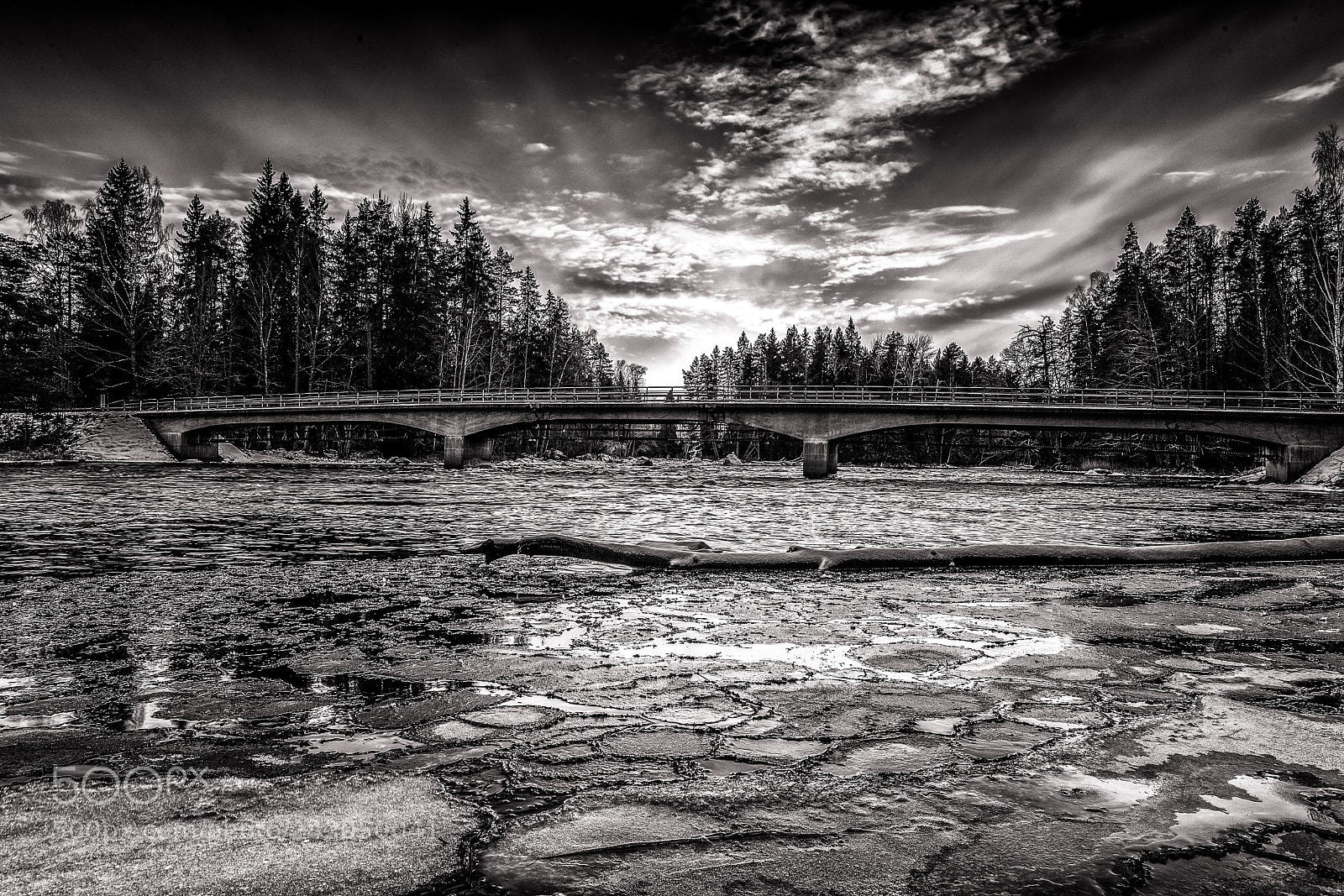 Nikon D5 sample photo. Sweden,gysinge photography