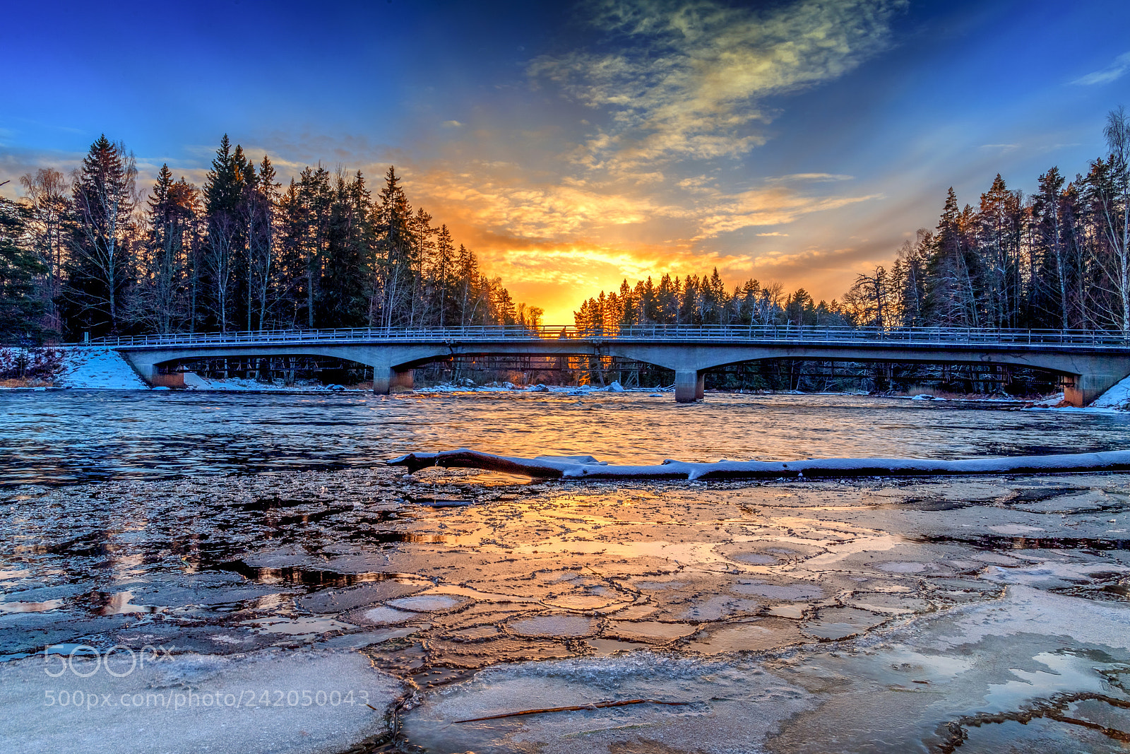 Nikon D5 sample photo. Sweden,dalarna photography