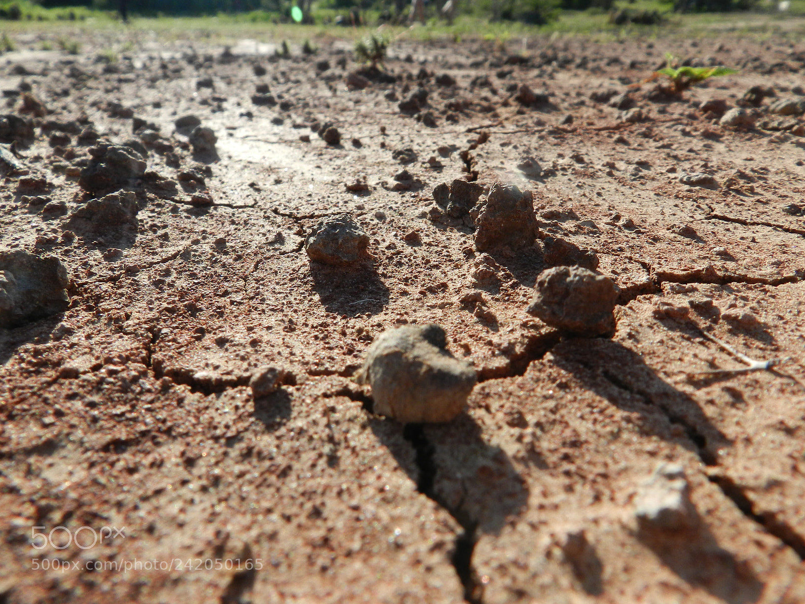 Nikon Coolpix P500 sample photo. Desert photography