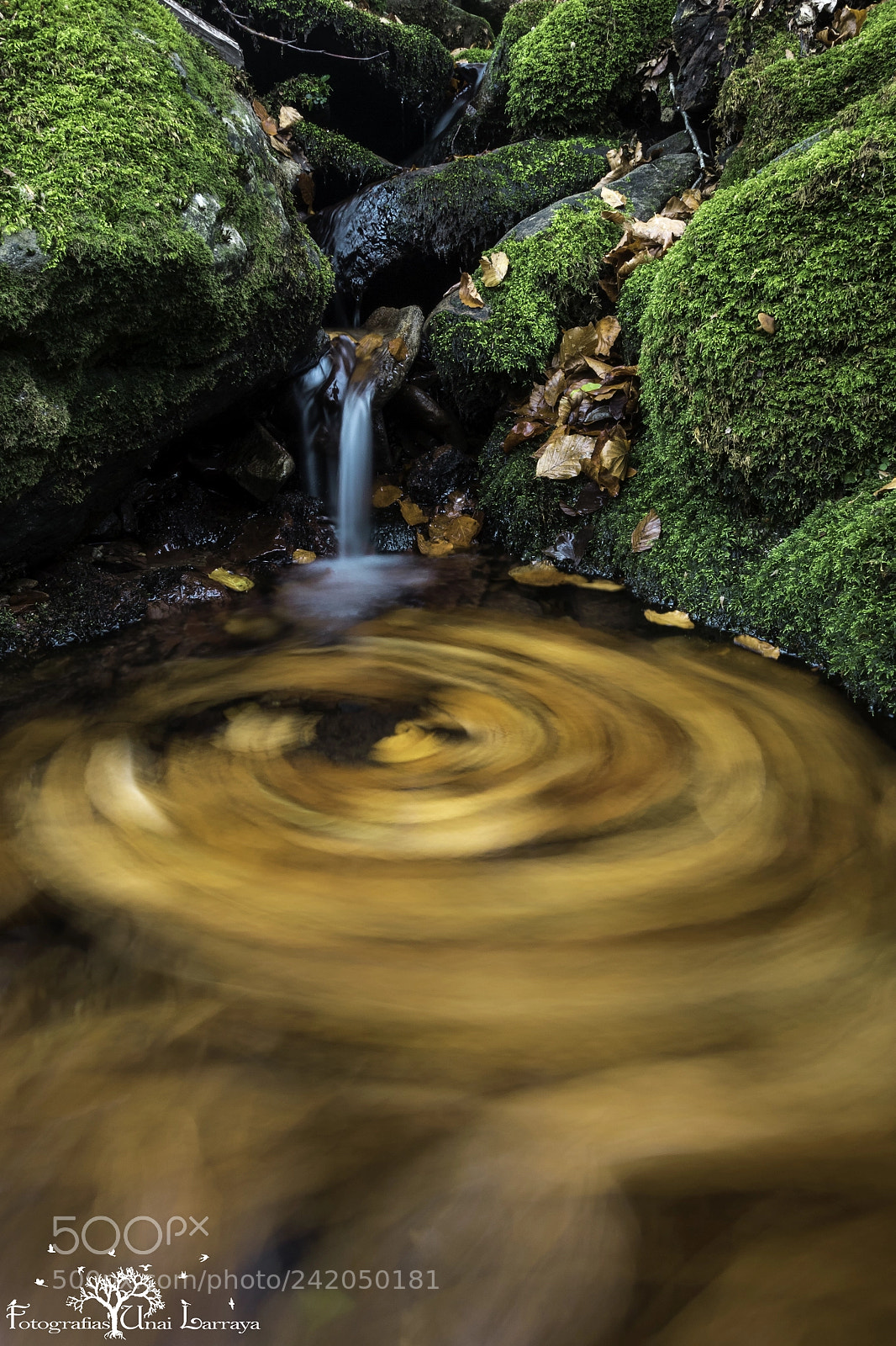 Canon EOS 7D Mark II sample photo. La naturaleza a larga photography
