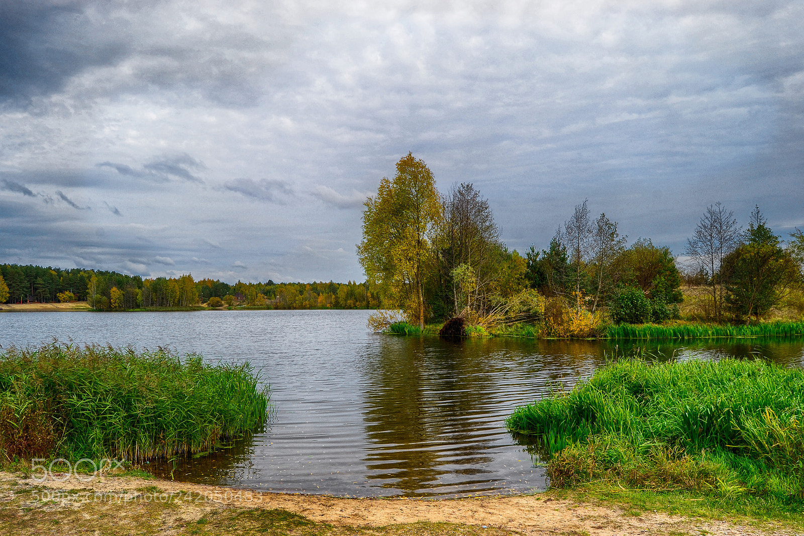 Nikon D3100 sample photo. лесное озеро photography