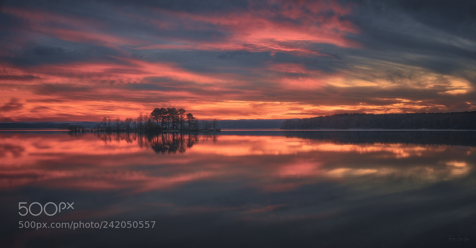 Canon EOS 5DS R sample photo. Exploding pink photography