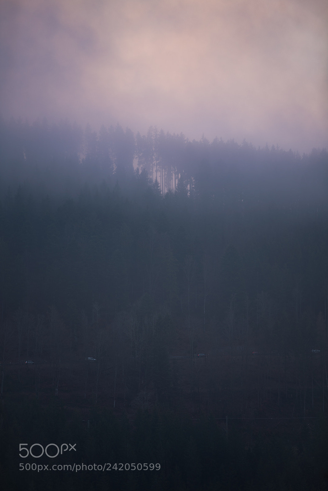 Sony a7S II sample photo. Titisee mist photography