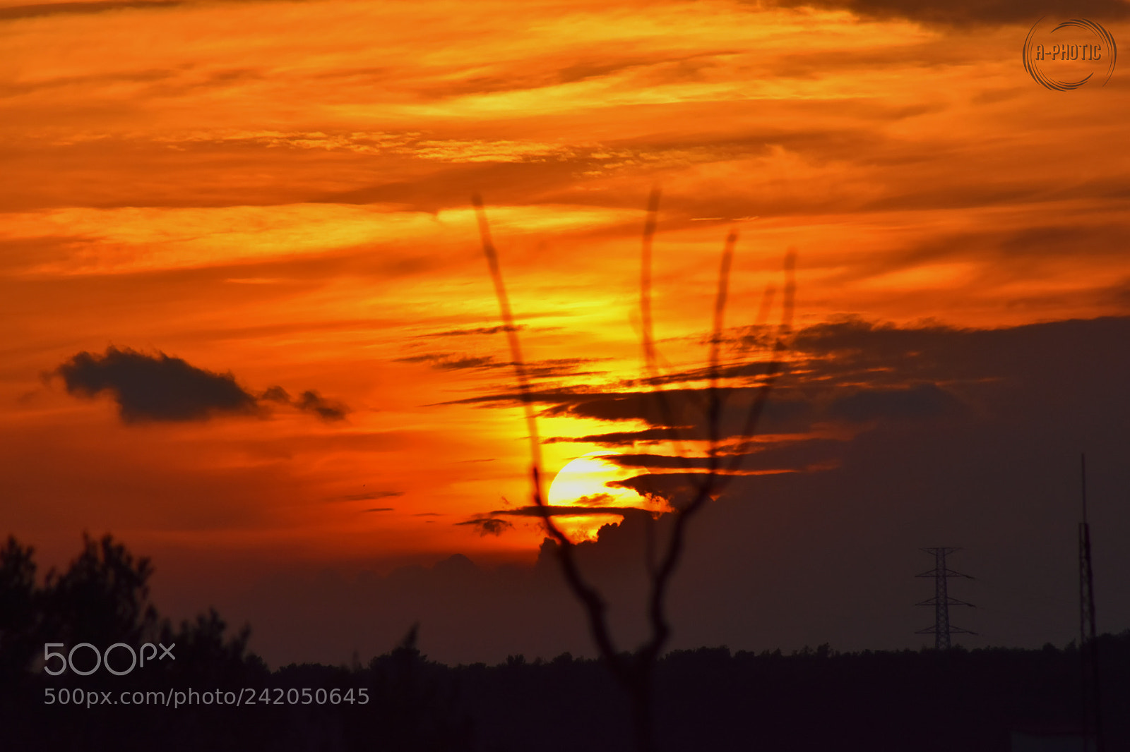 Nikon D7200 sample photo. Untitled photography