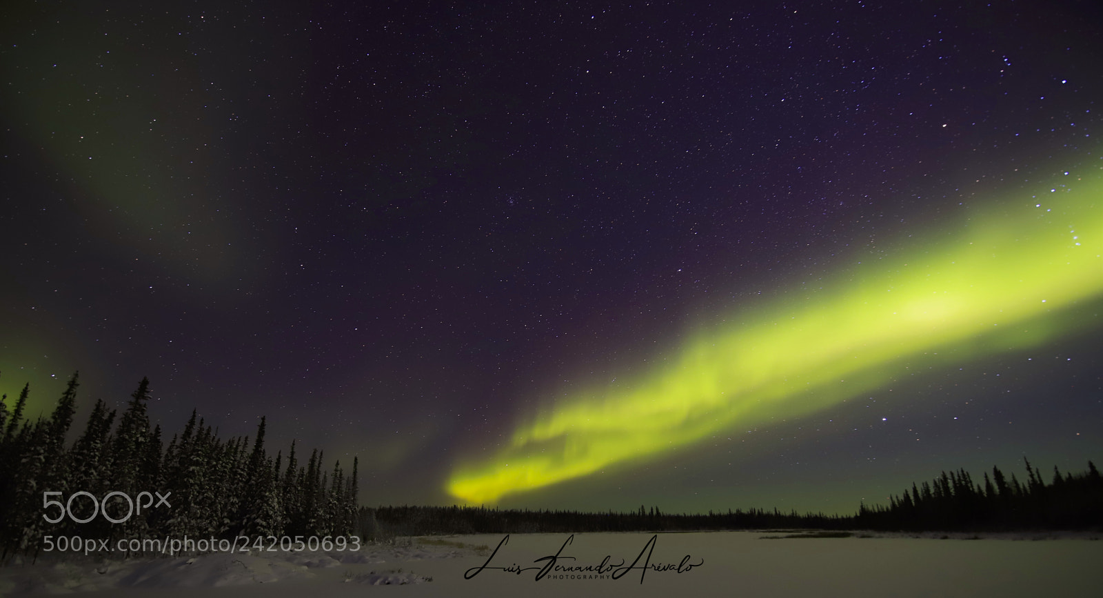 Canon EOS 6D Mark II sample photo. Nwt photography
