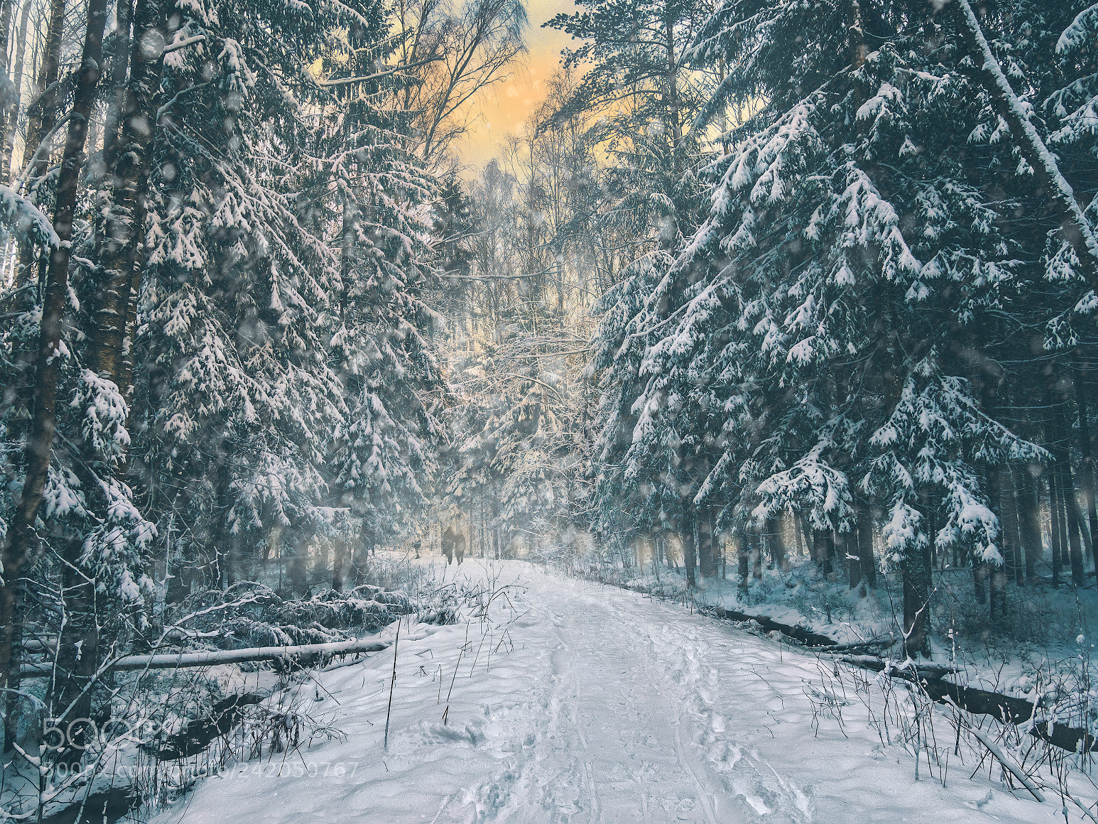 Olympus OM-D E-M5 II sample photo. Winter fairy tale photography