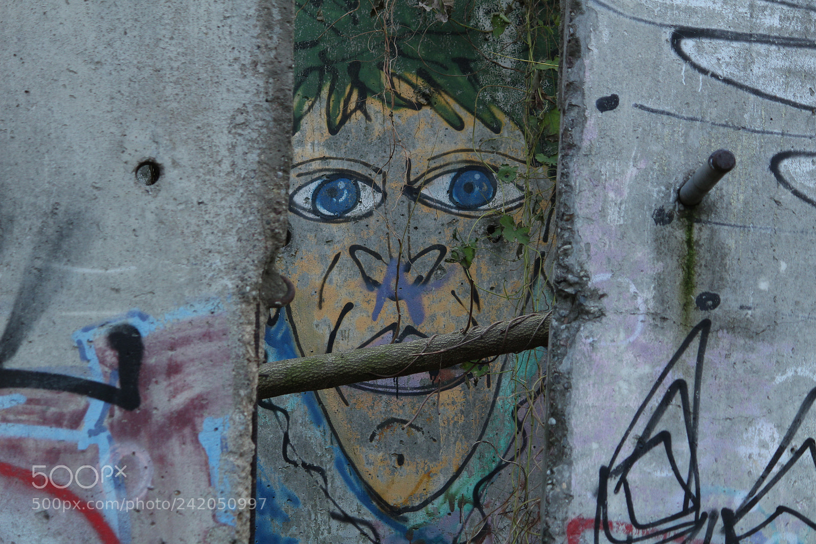 Canon EF-S 55-250mm F4-5.6 IS II sample photo. Berliner maurer photography