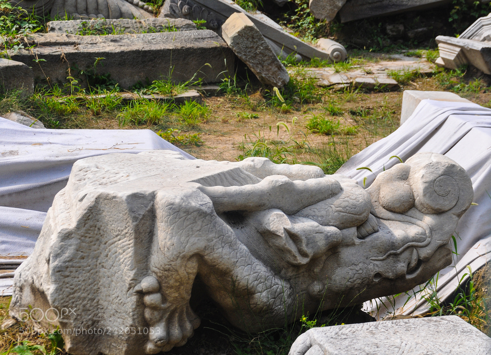 Nikon D90 sample photo. Ruins of yuanmingyuan photography