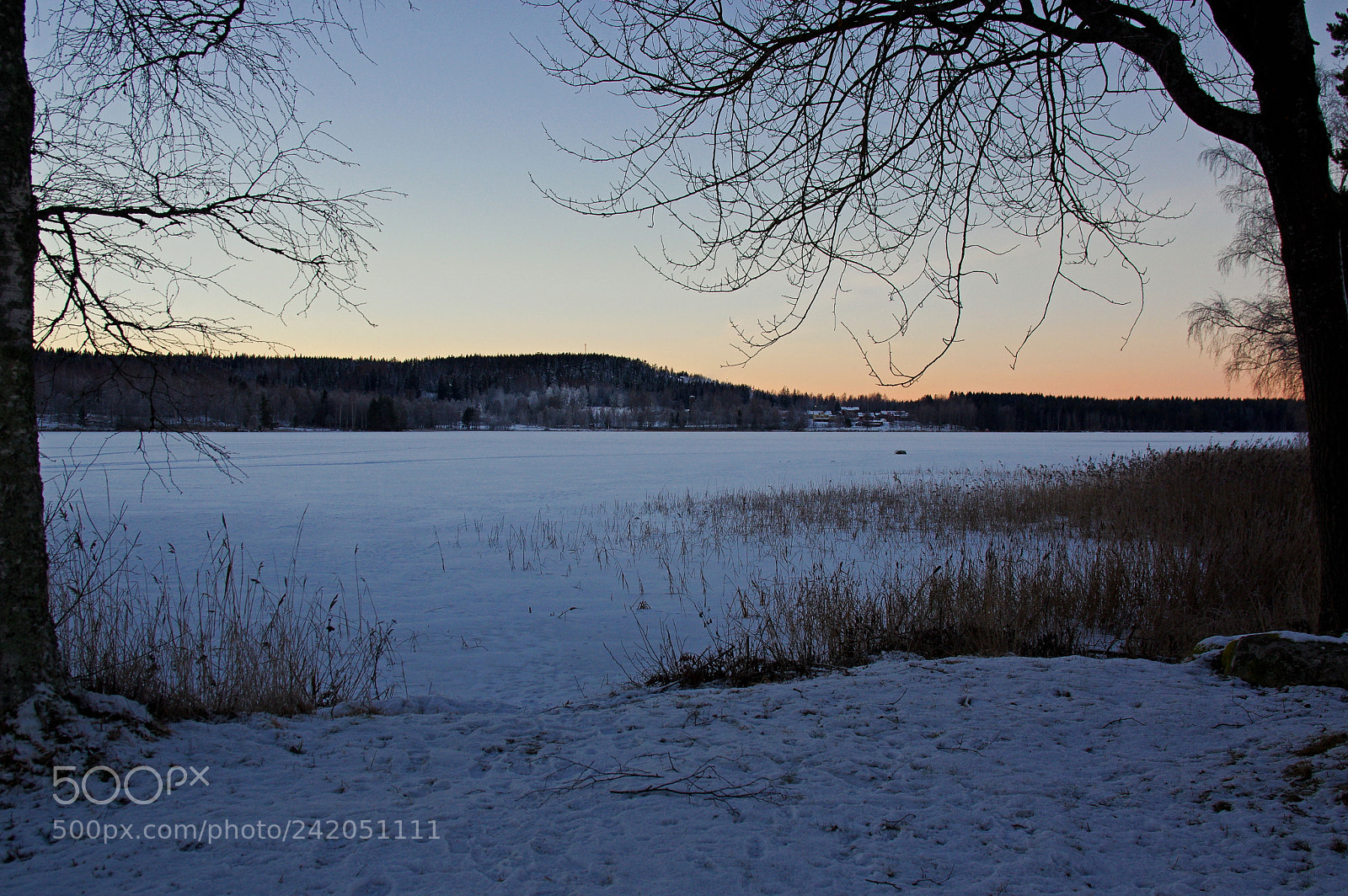 Pentax K-3 sample photo. Wintercolours photography