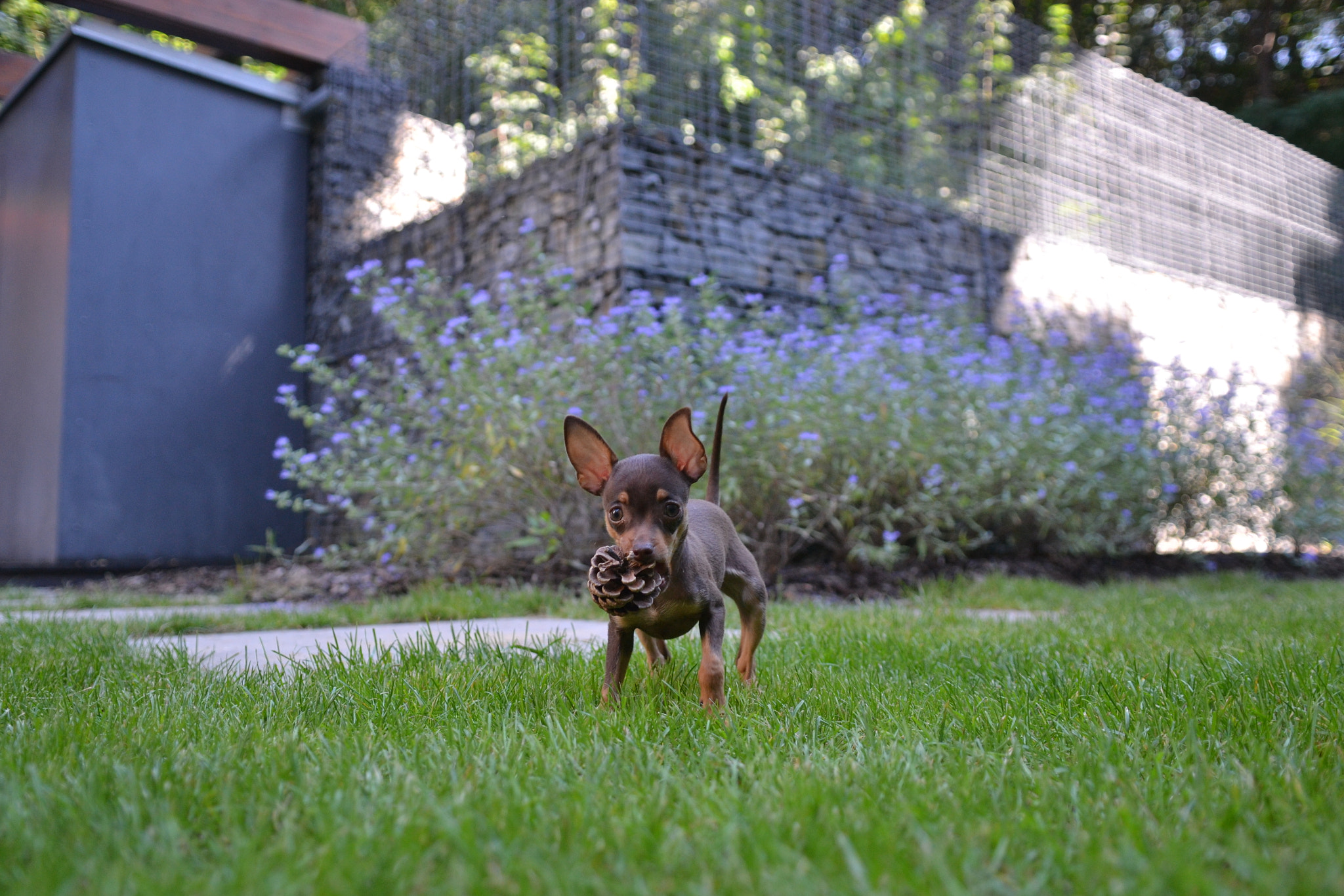 Nikon D3100 sample photo. Jerry photography