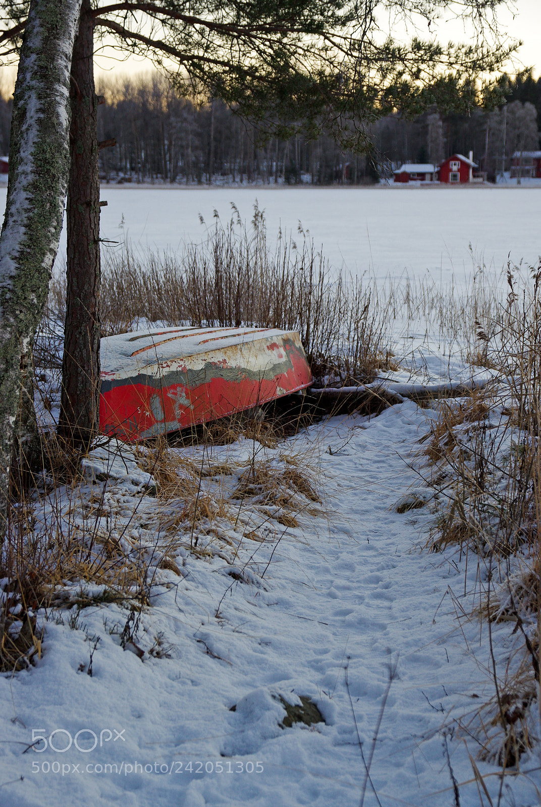 Pentax K-3 sample photo. Wintercolours 2 photography