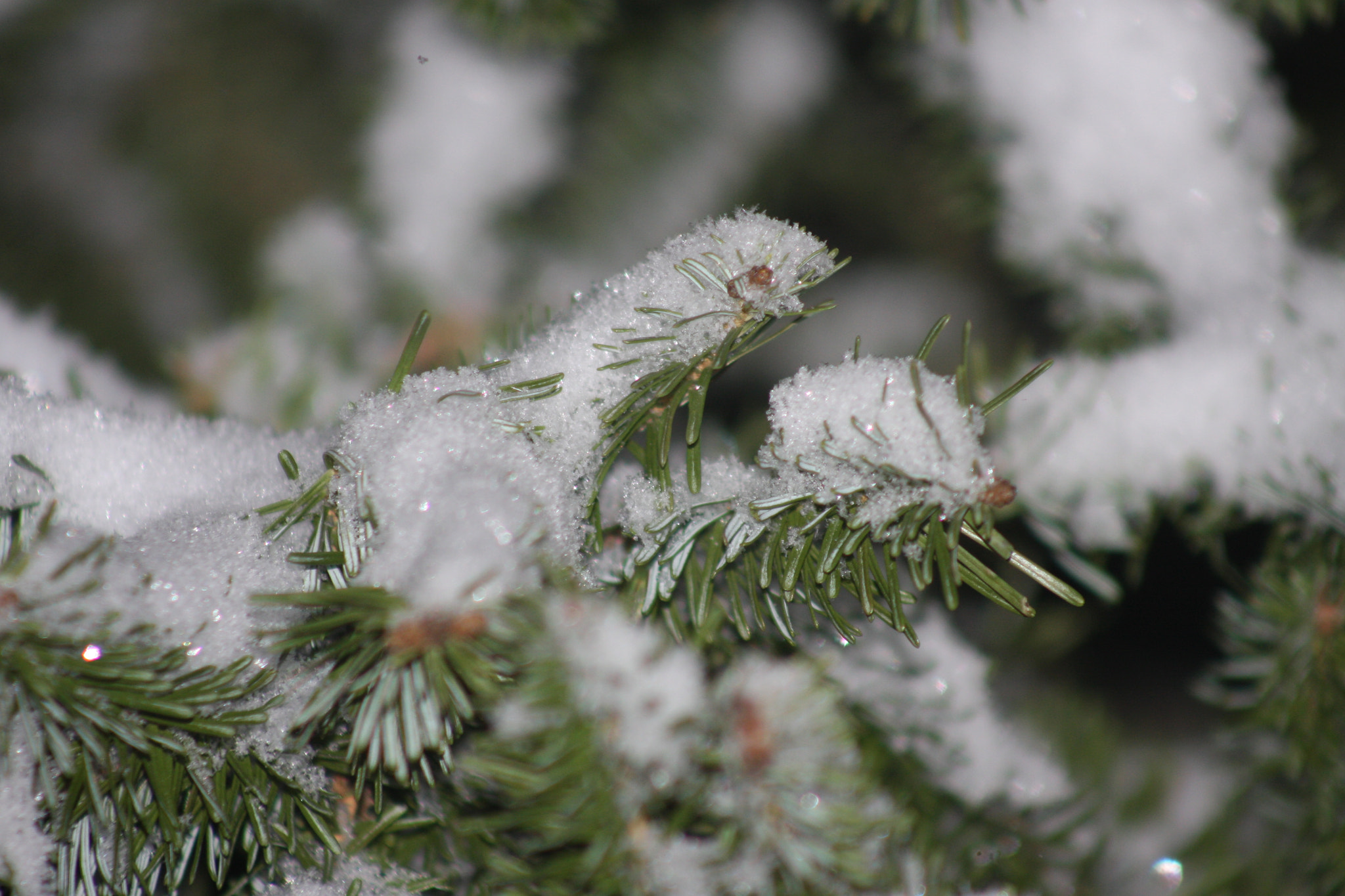 Canon EOS 40D + EF75-300mm f/4-5.6 sample photo. Snowflakes upclose photography