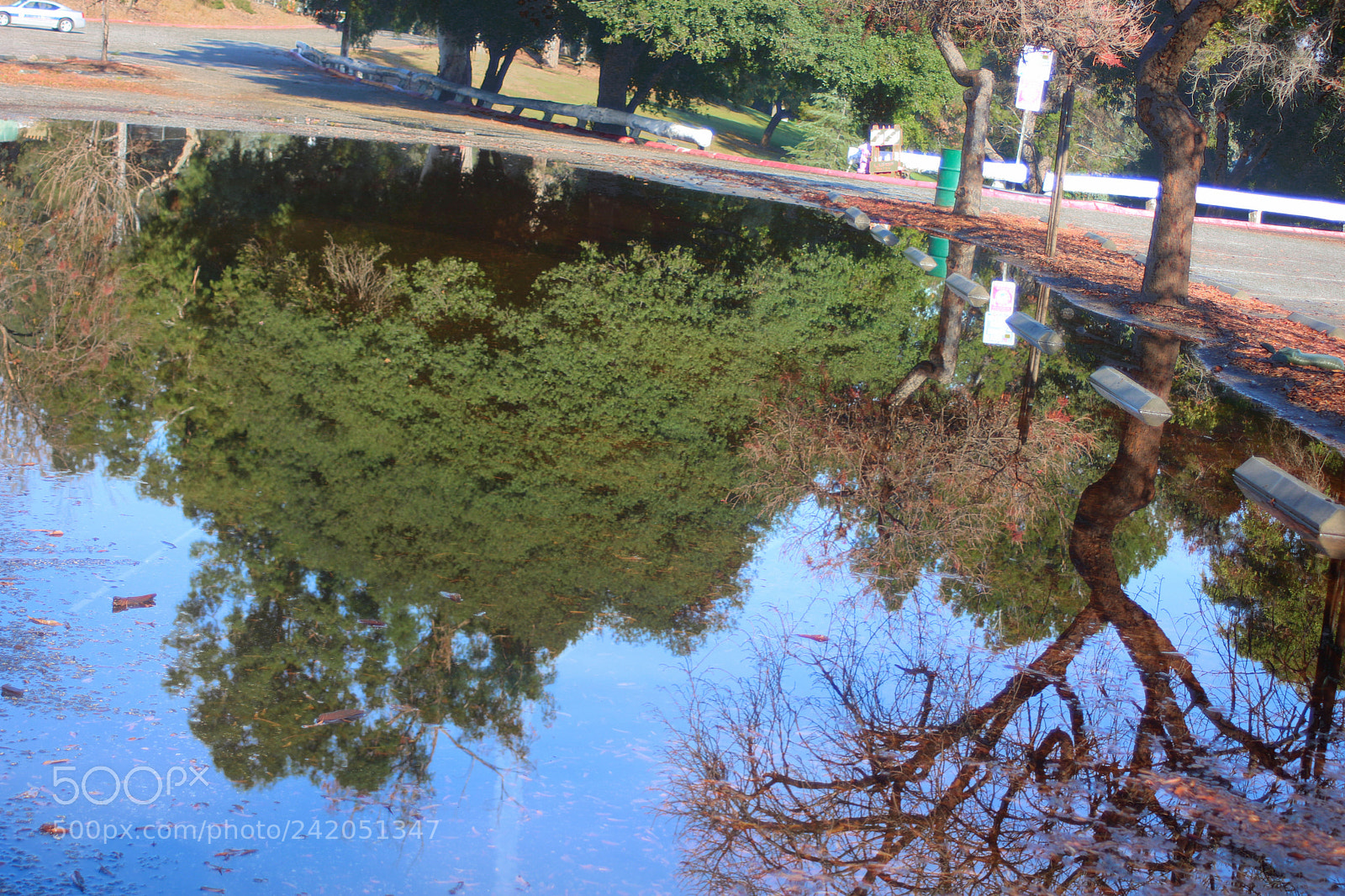 Canon EOS 750D (EOS Rebel T6i / EOS Kiss X8i) sample photo. Parking lot reflection photography