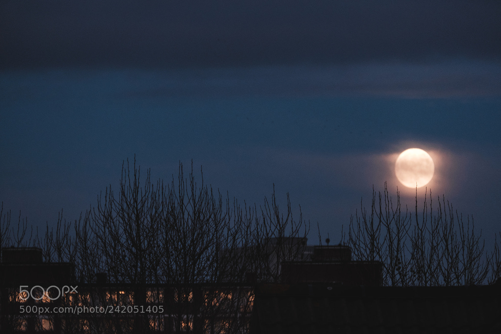 Fujifilm X-T20 sample photo. Super moon photography