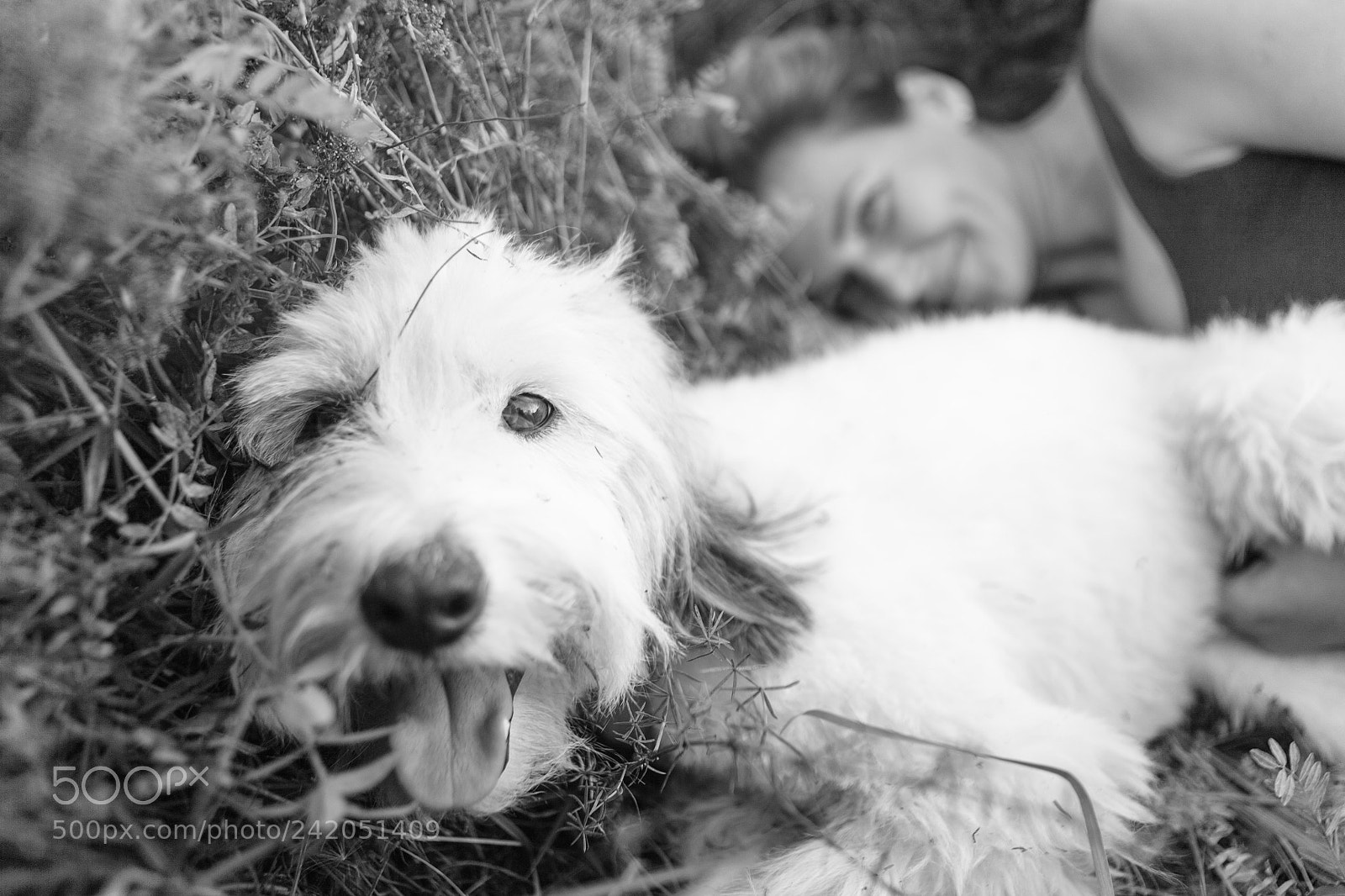 Canon EOS 5D sample photo. We are funny photography