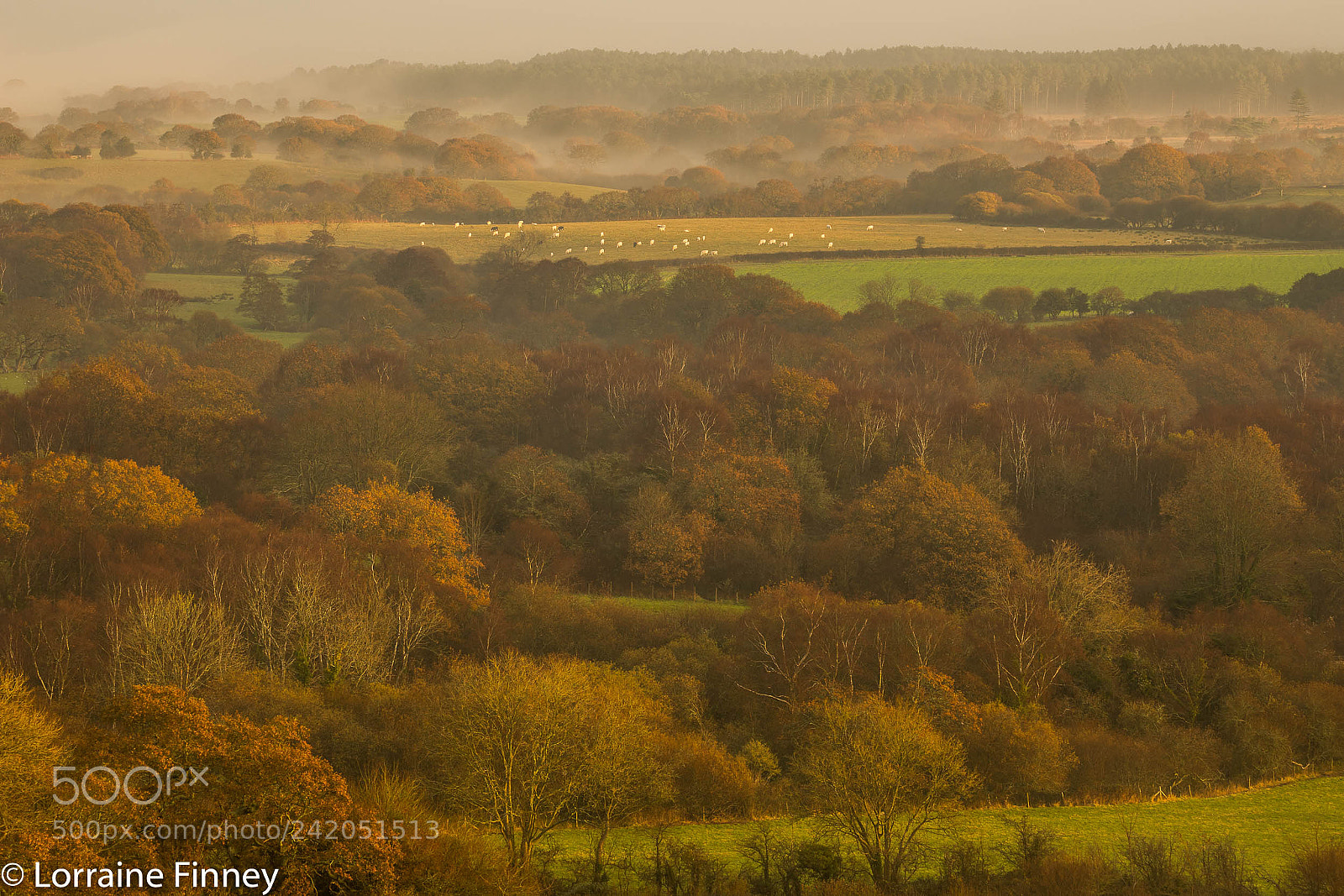 Canon EOS 6D Mark II sample photo. Autumn magic photography