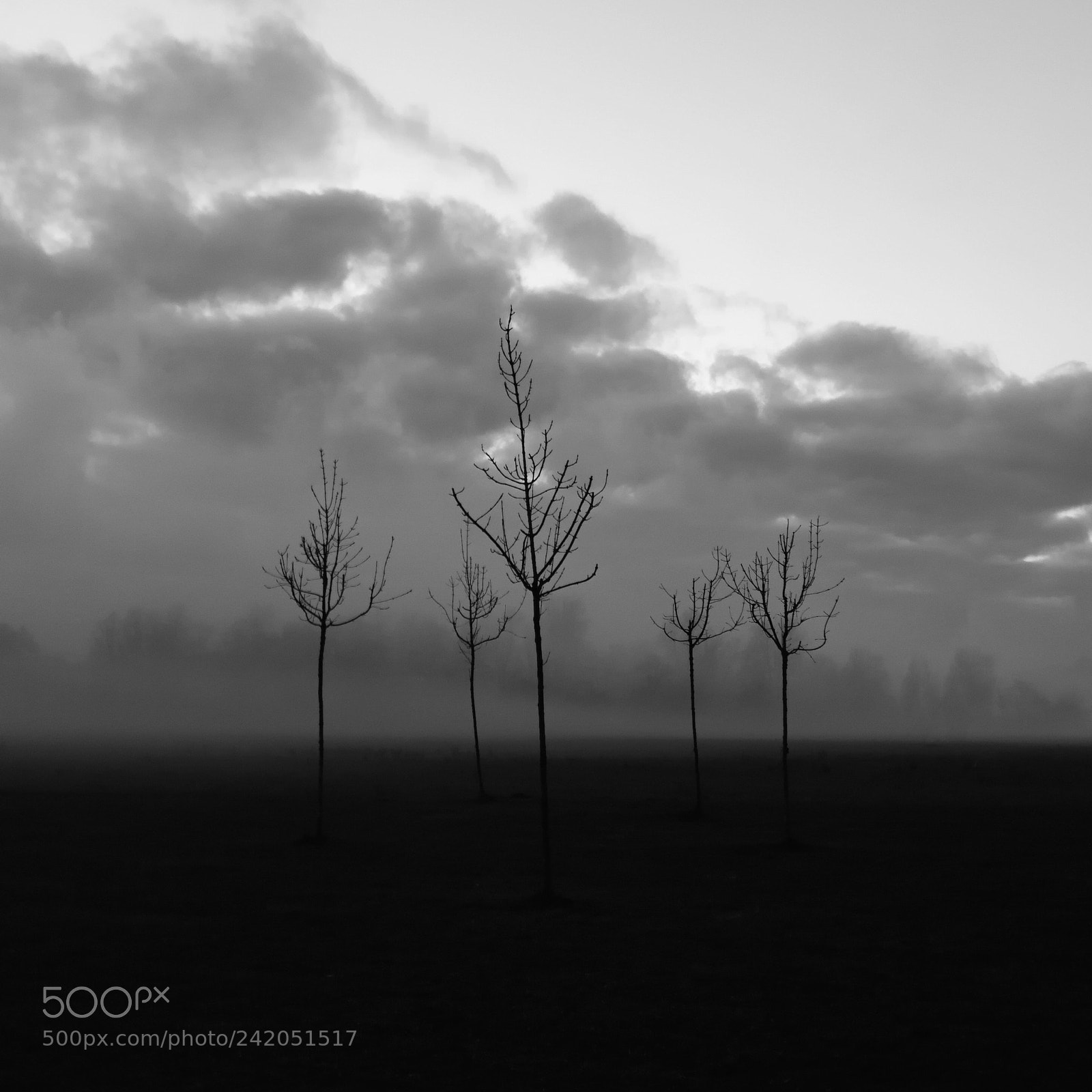 HUAWEI P10 sample photo. Desolation photography