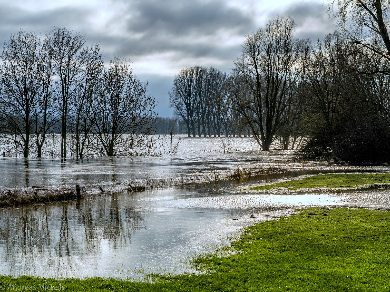 Nikon D850 sample photo. Floods. photography