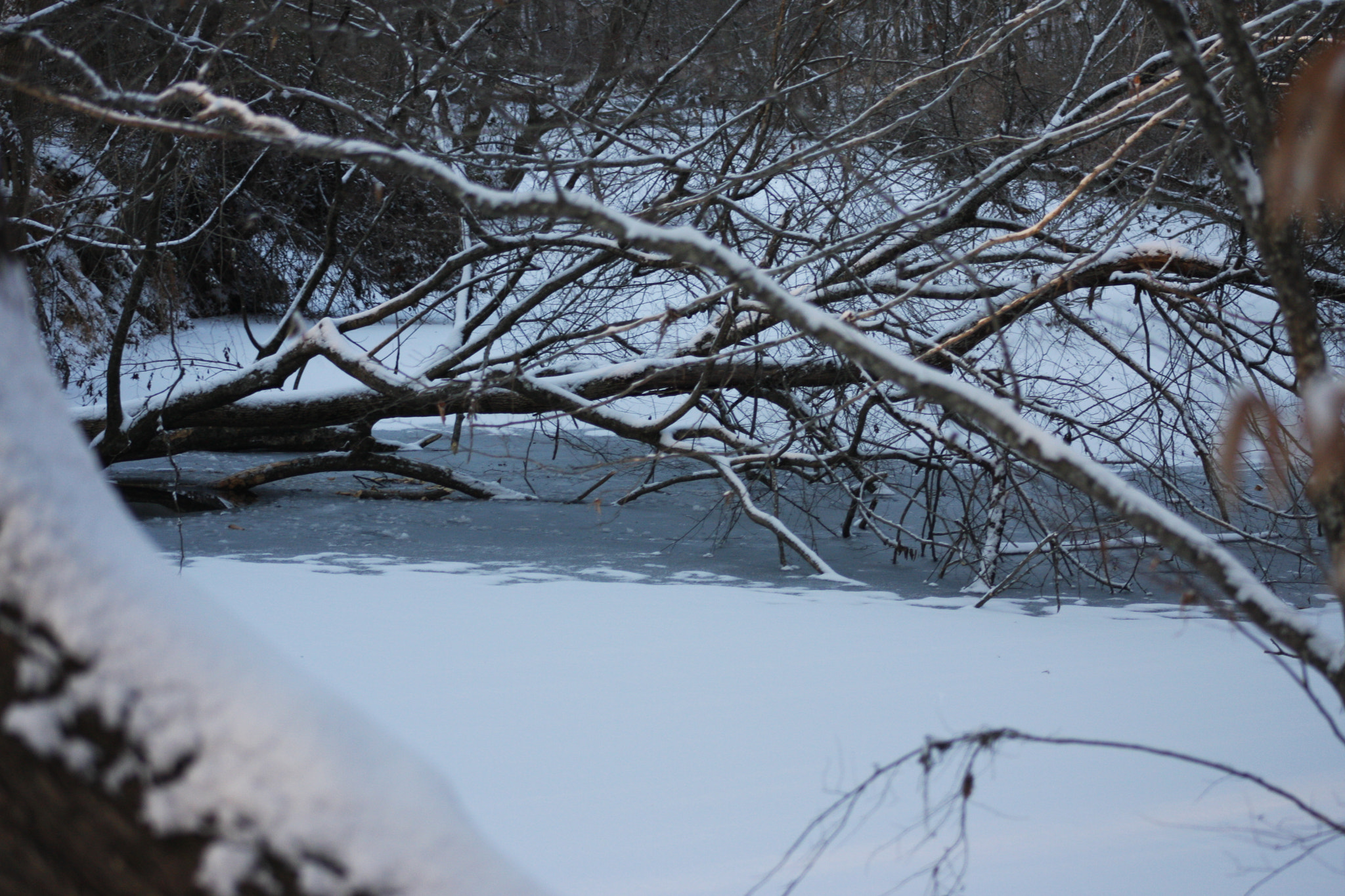 Canon EOS 40D + EF75-300mm f/4-5.6 sample photo. Frozen snowcovered river photography