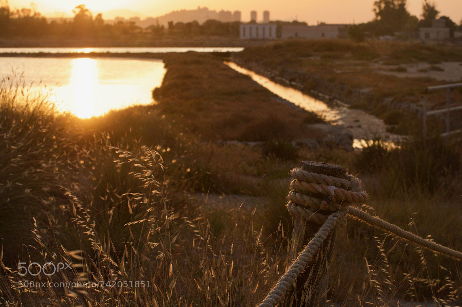 Nikon D90 sample photo. Molentargius photography