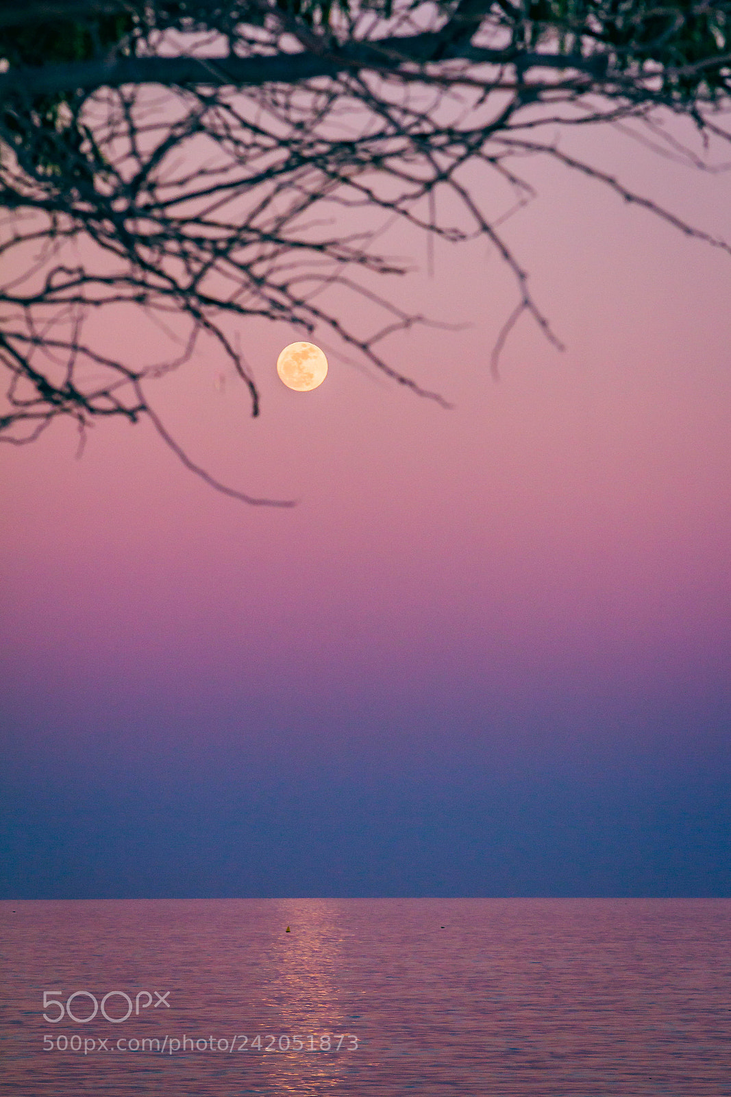 Canon EOS 60D sample photo. Funeral sun set photography
