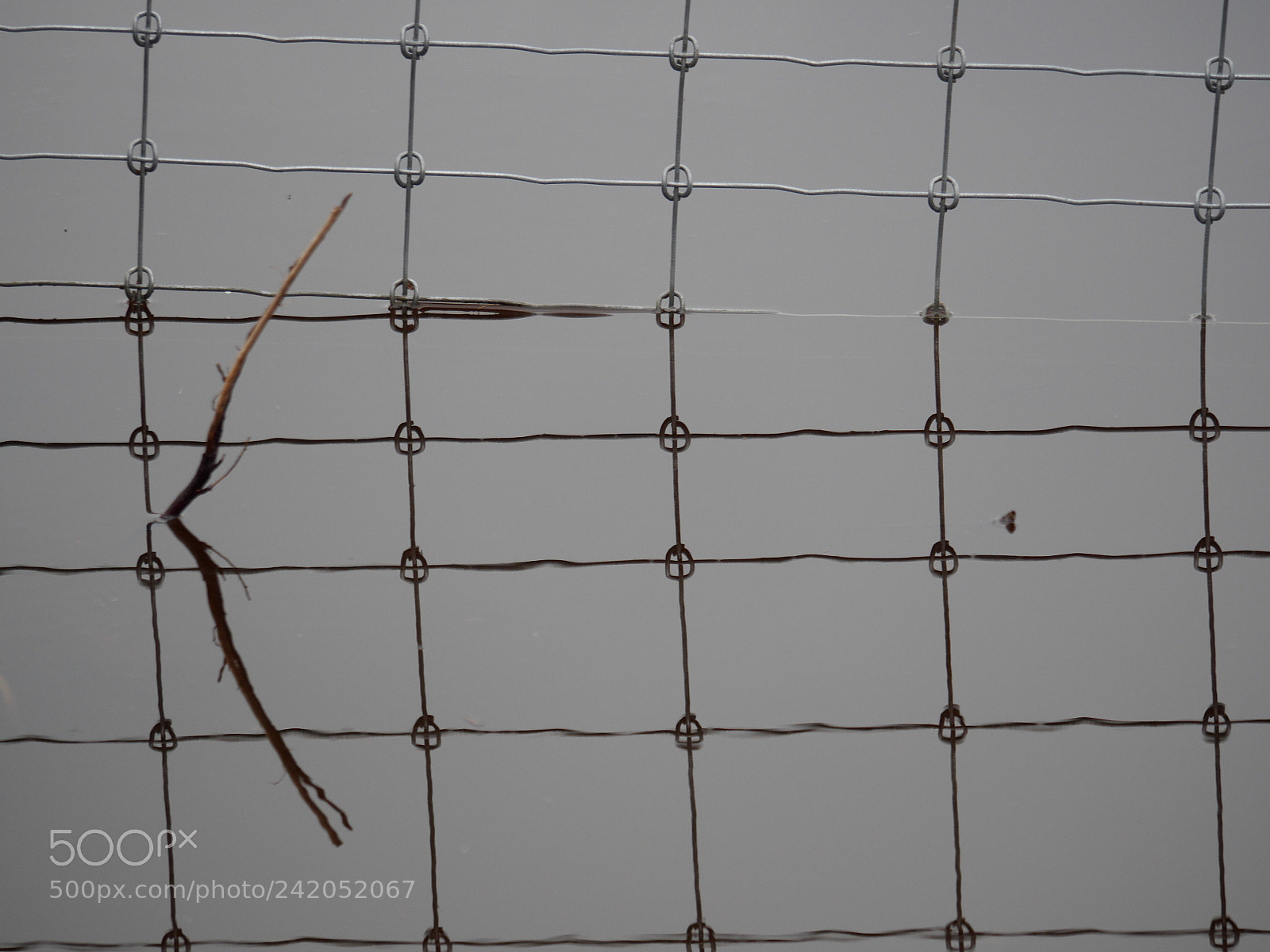 Panasonic Lumix DMC-GH3 sample photo. Water surface. photography