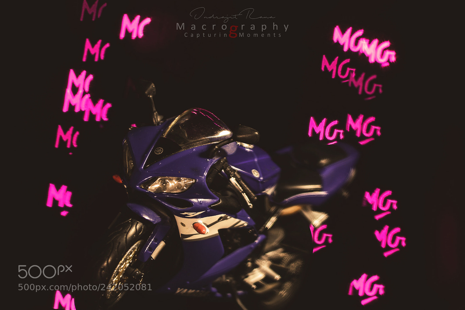 Nikon D7100 sample photo. The magical bokeh photography