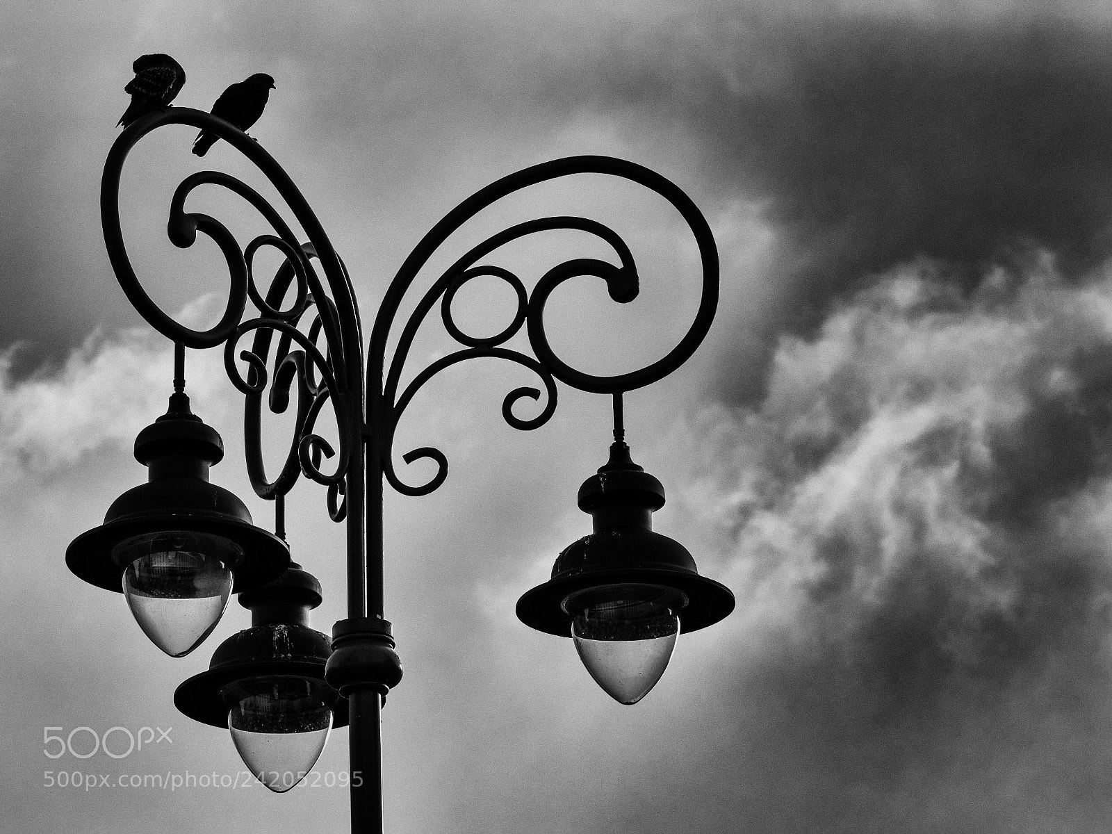 Olympus OM-D E-M1 Mark II sample photo. Lamp photography