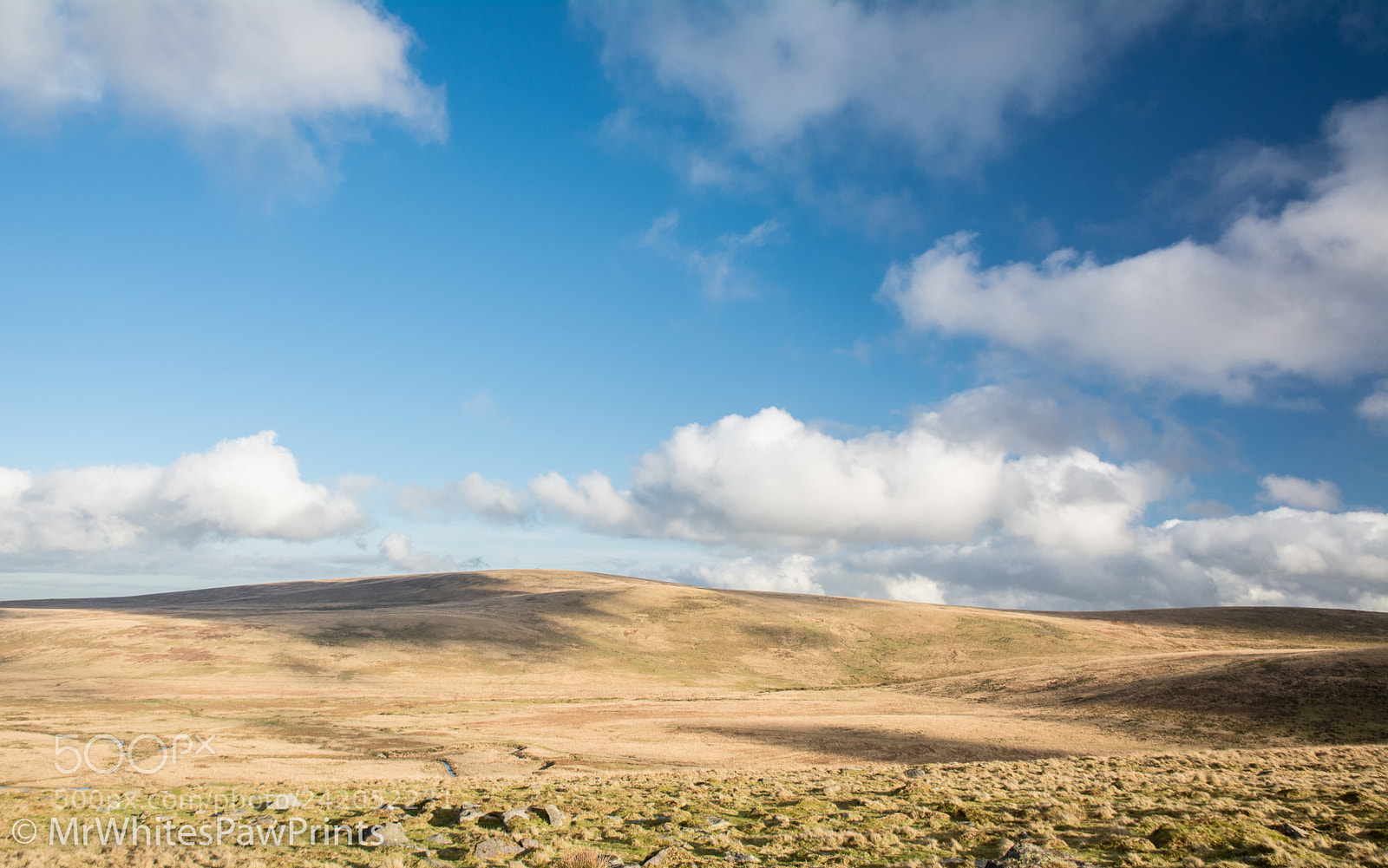 Nikon D7100 sample photo. 39617717741.jpg photography