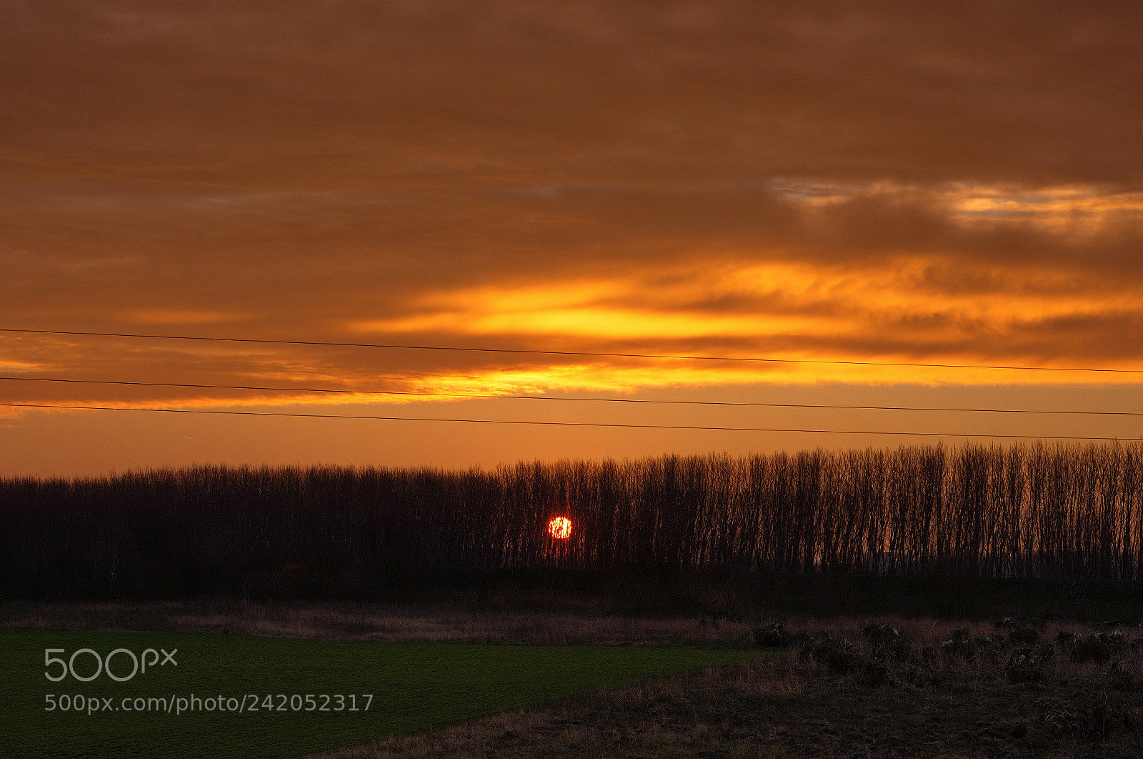 Sony Alpha NEX-5N sample photo. Rising sun photography