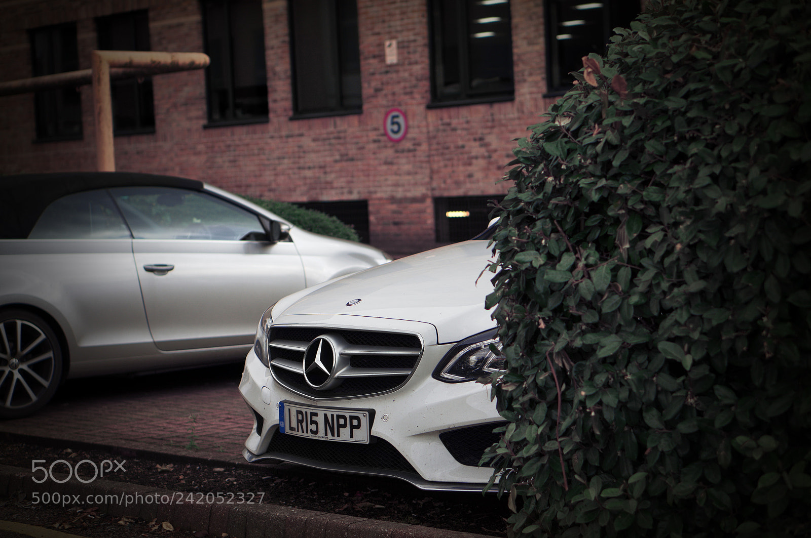 Sony Alpha NEX-5N sample photo. White star photography