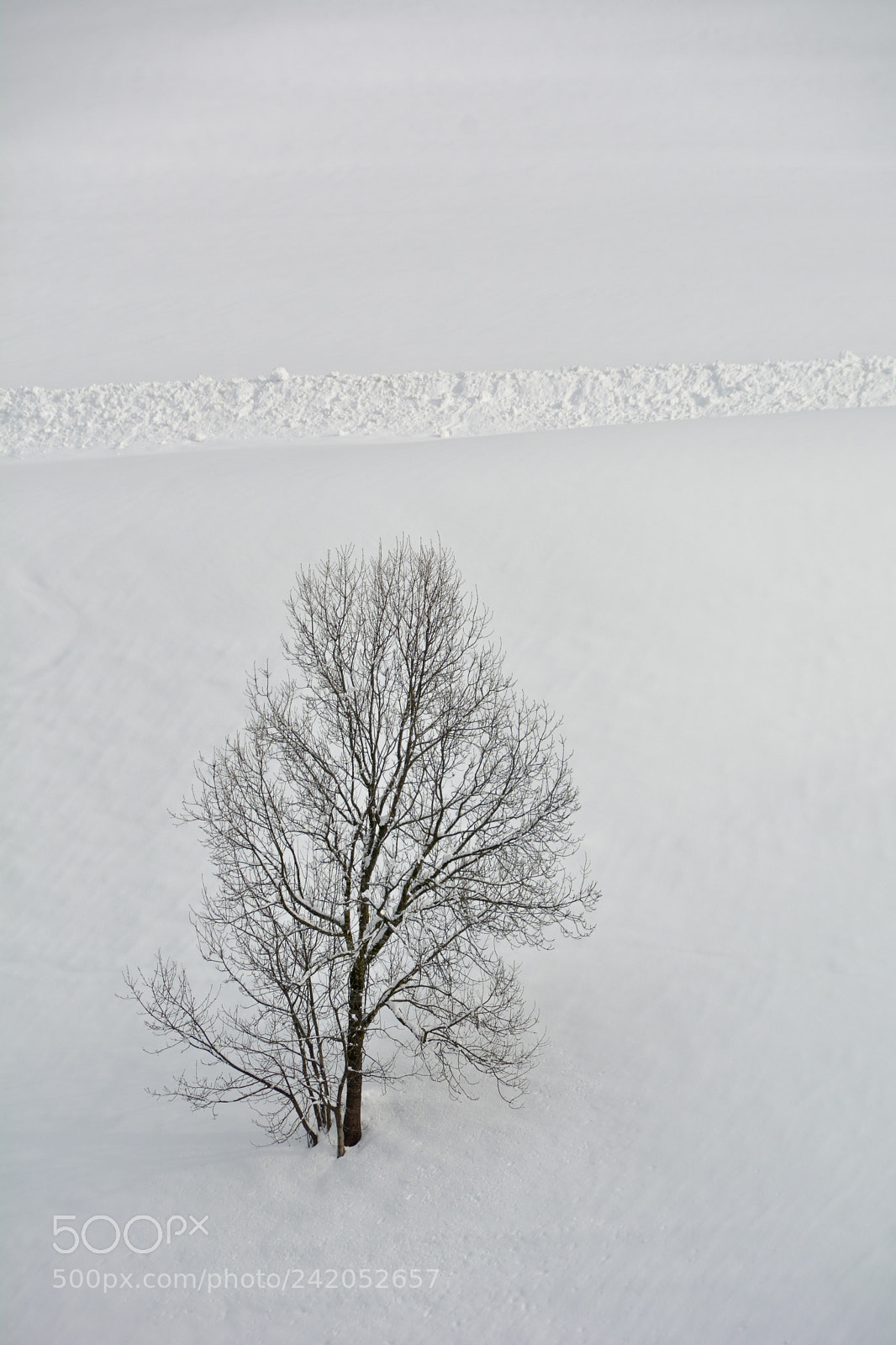 Nikon D7100 sample photo. Seul dans la neige photography