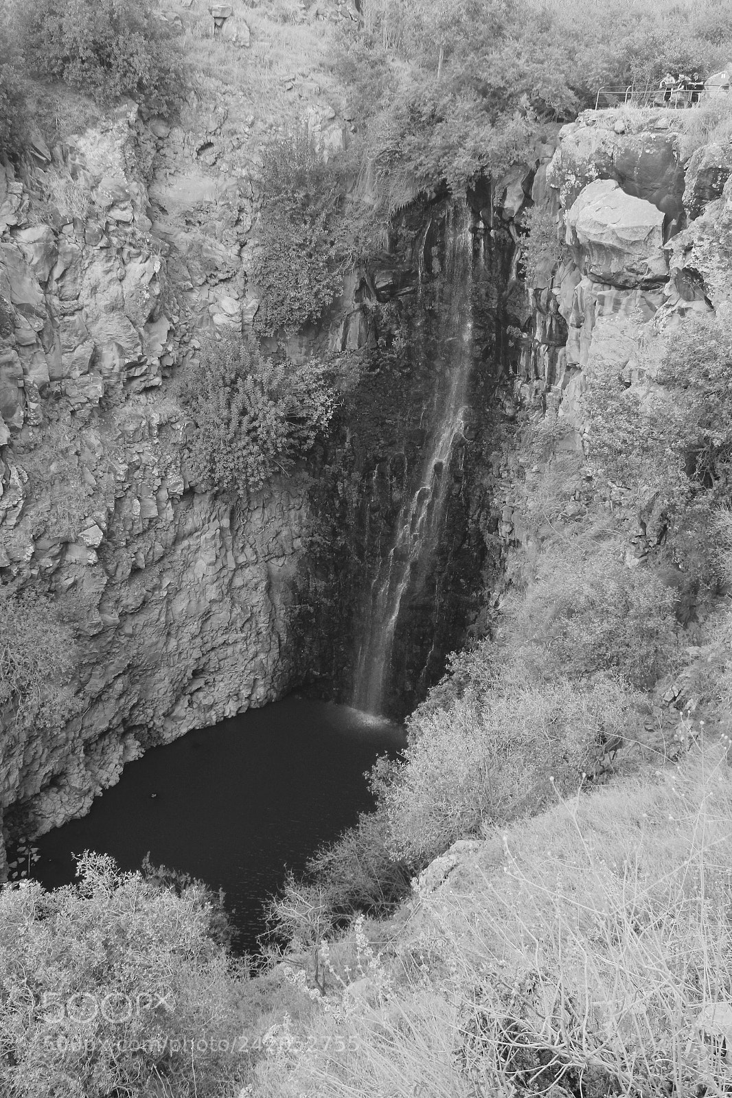 Canon EOS 550D (EOS Rebel T2i / EOS Kiss X4) sample photo. B&w waterfall photography