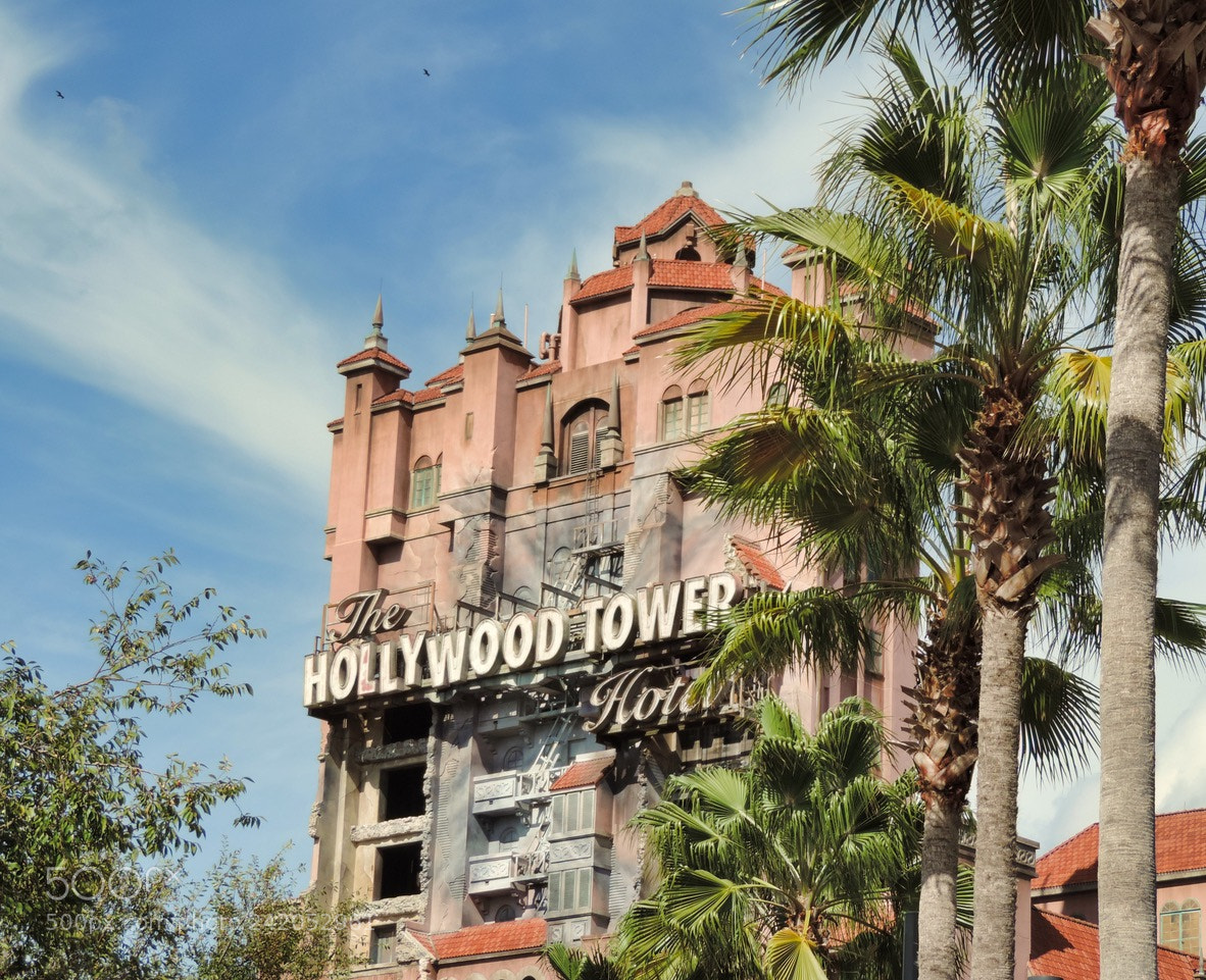 Nikon Coolpix P520 sample photo. Disney photography