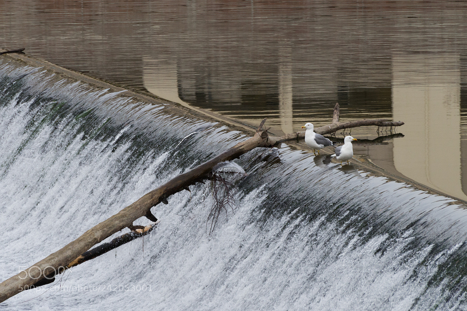 Pentax K-1 sample photo. Two vs the world photography