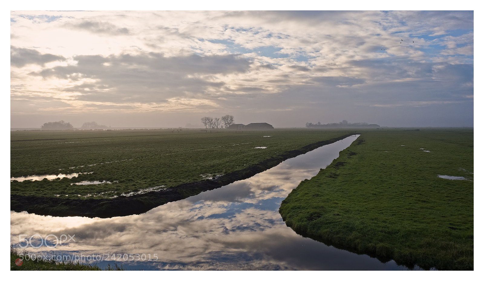 Olympus OM-D E-M1 Mark II sample photo. Cloud mirror photography