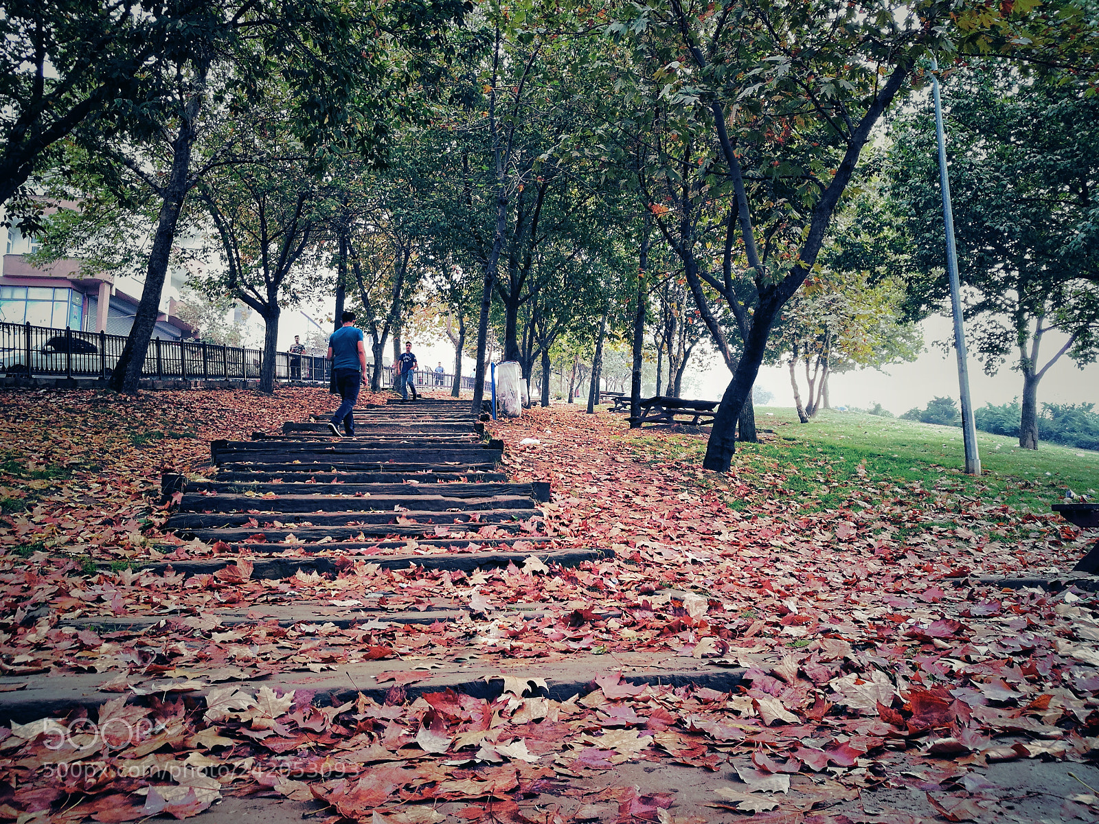 HUAWEI P9 sample photo. Untitled photography
