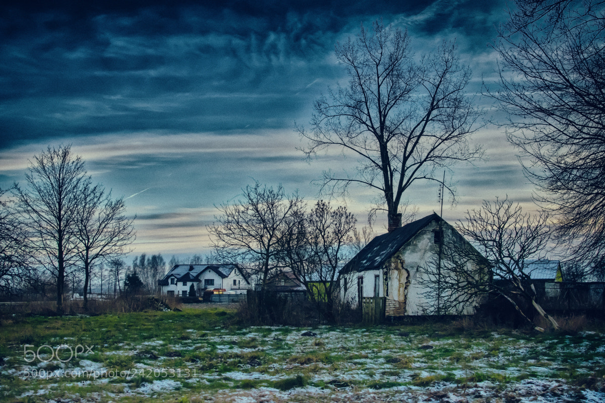 Nikon D500 sample photo. Rural reality photography