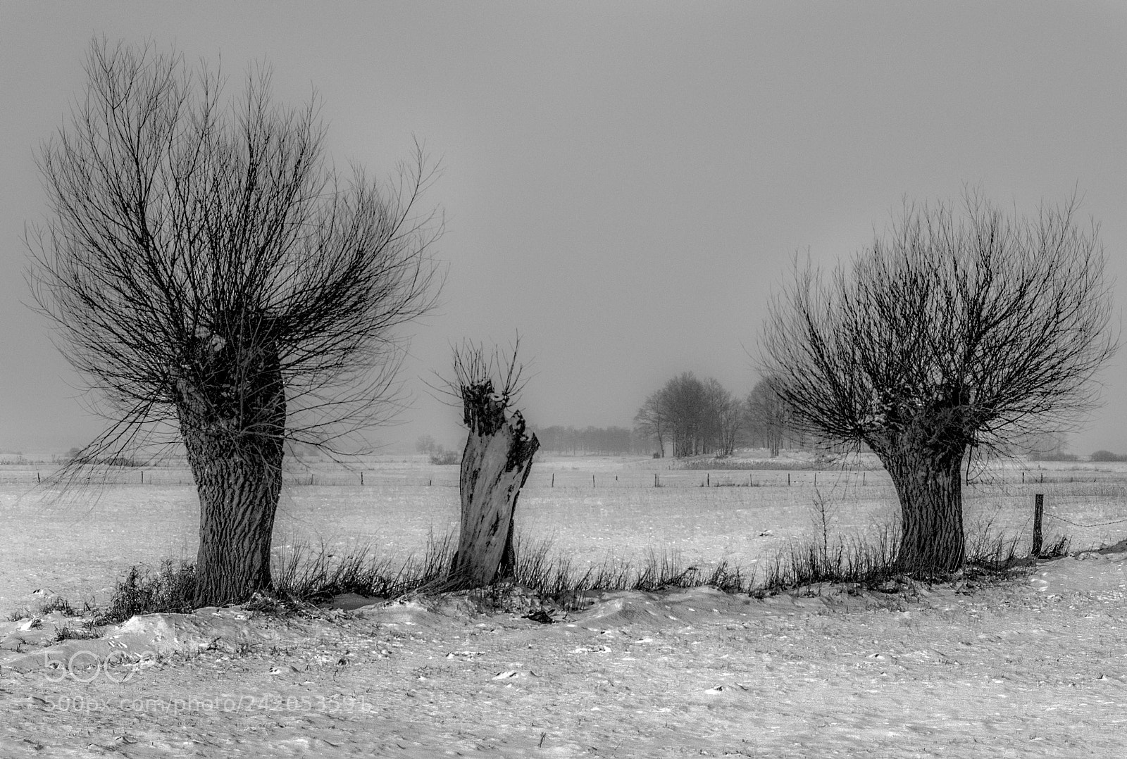 Nikon D300 sample photo. Cold time photography