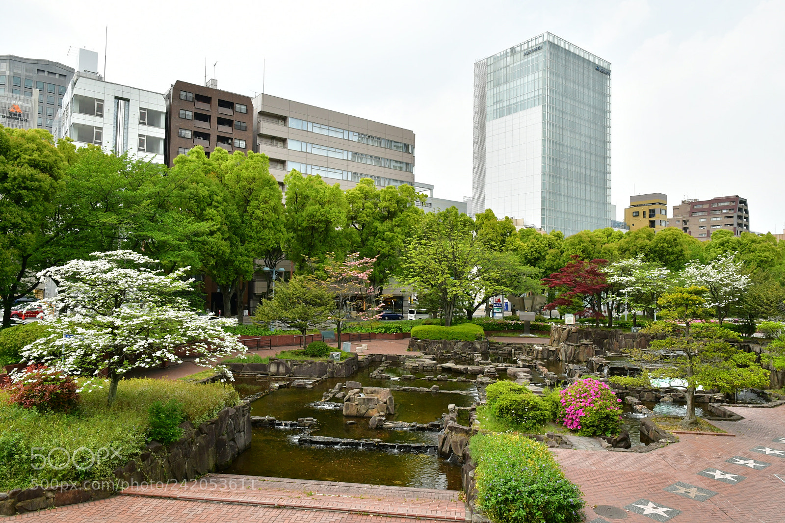 Nikon D500 sample photo. Natural park photography