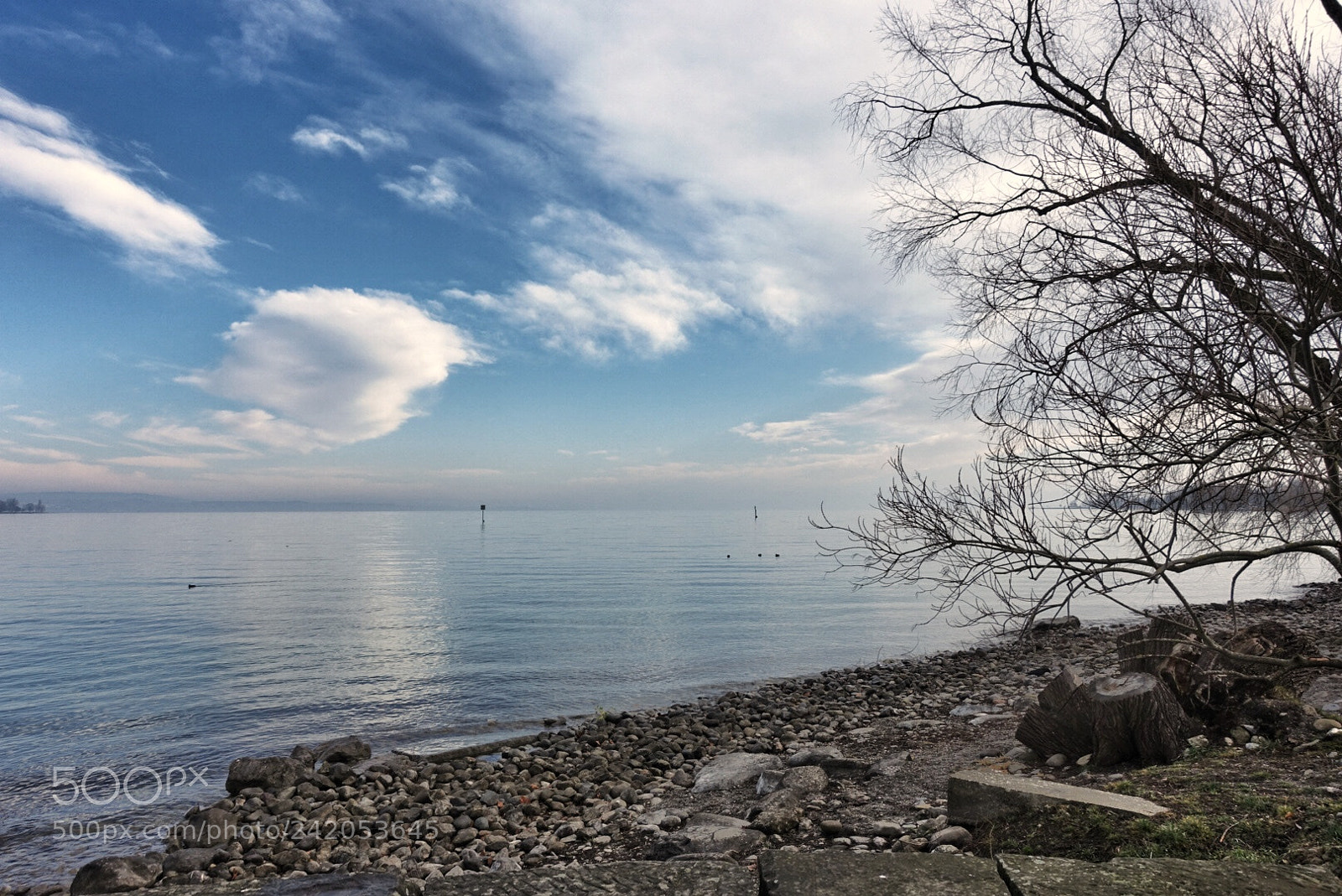 Sony Cyber-shot DSC-RX100 III sample photo. Bodns3 photography