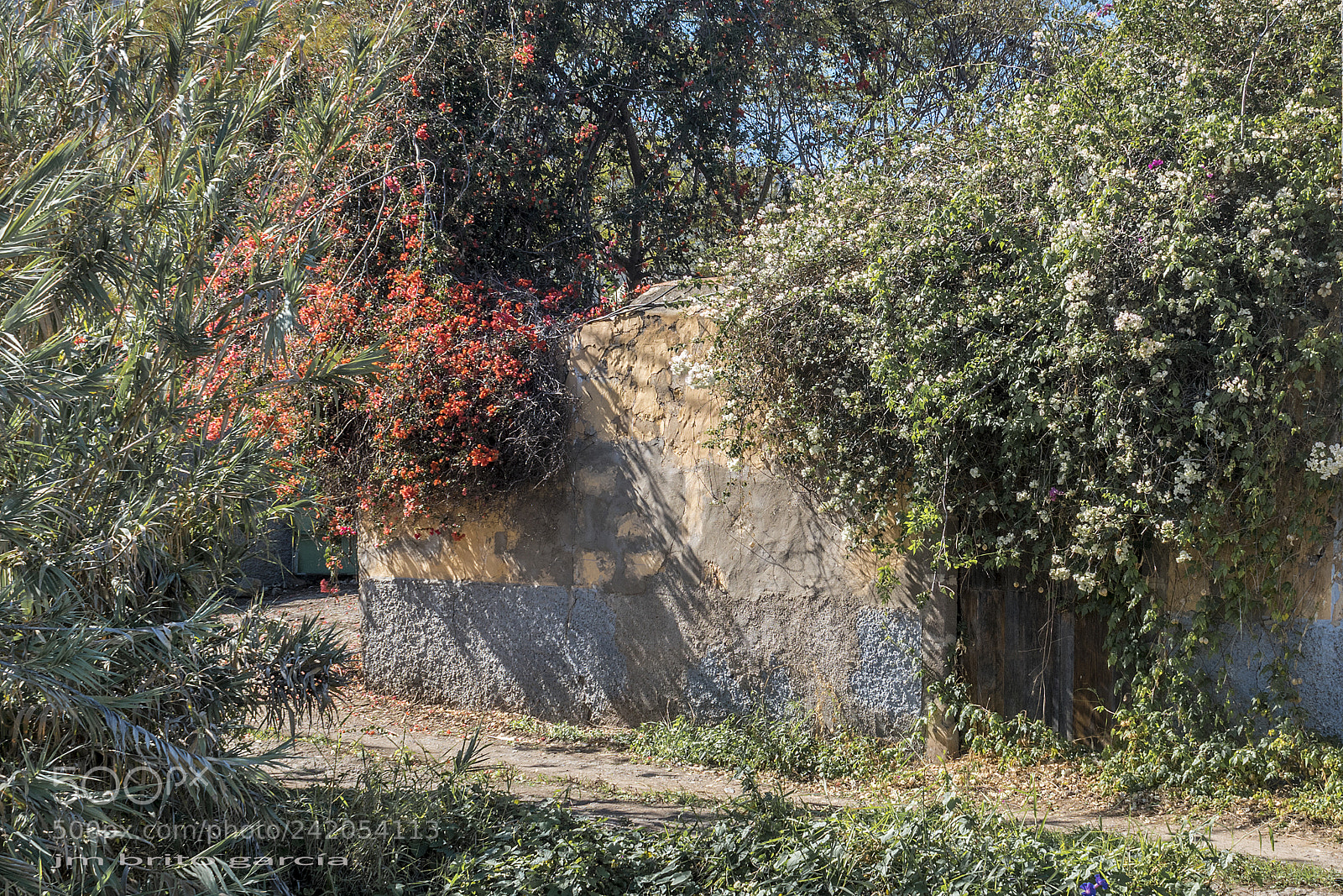 Nikon D5500 sample photo. Sol de invierno winter's photography